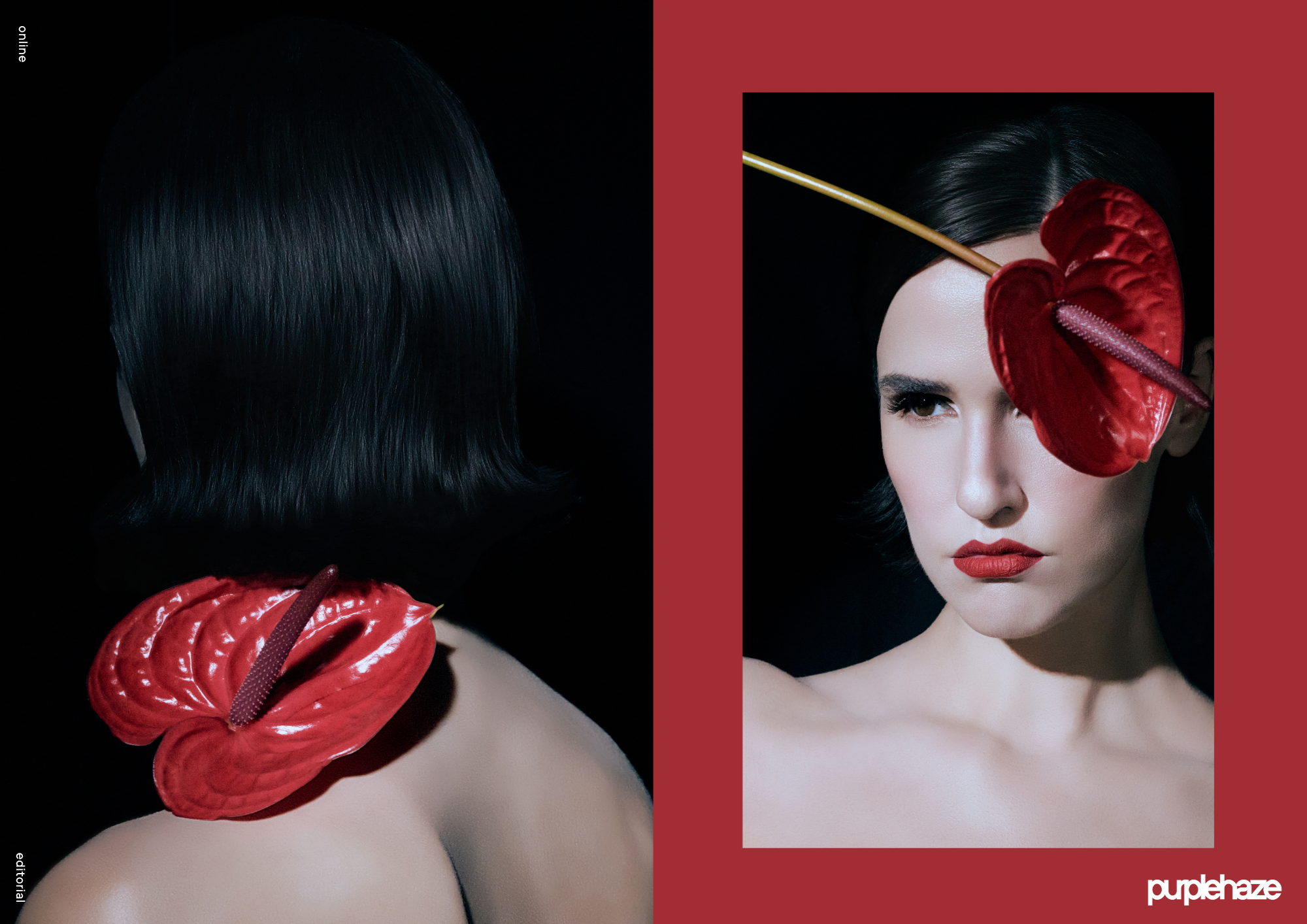 Dark Gaze - Jamie Lee - 4.png