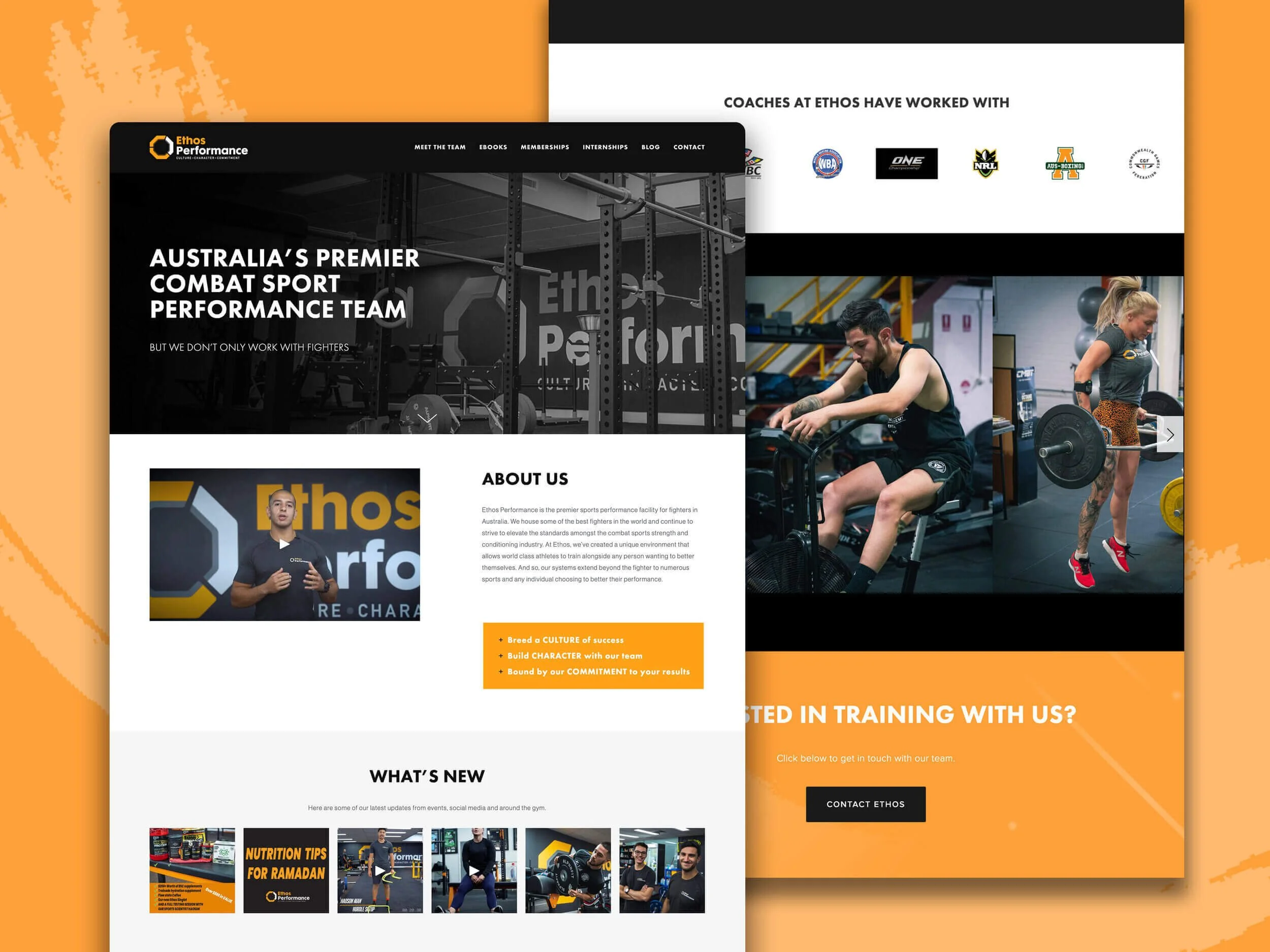 Pierre+Velez_Website (1).jpeg