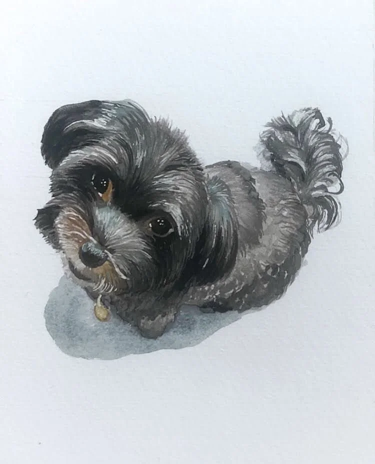 Watercolor Pets