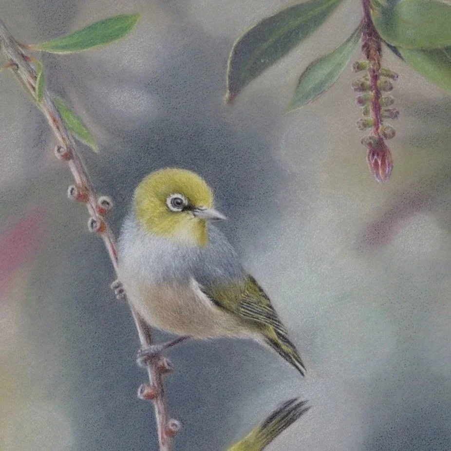 Winter+Feast+-+Rachel+Harris+silvereyes+1.5mb.jpg