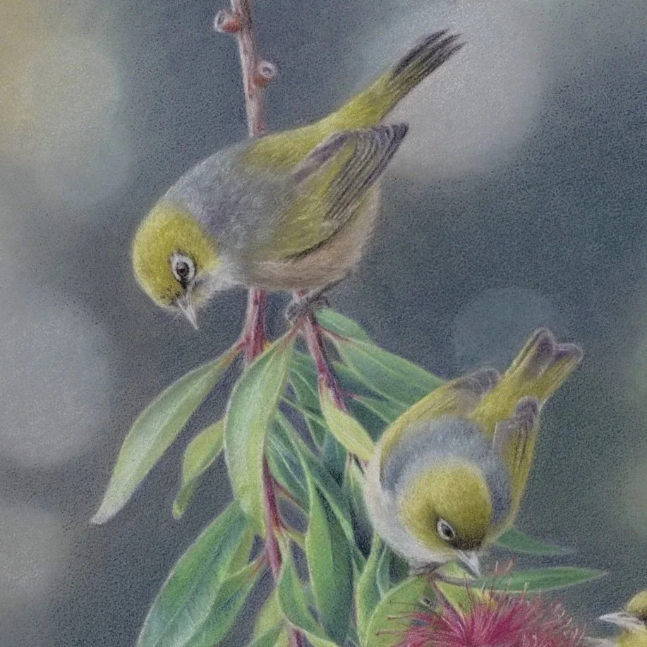 Winter+Feast+-+Rachel+Harris+silvereyes+1.5mb.jpg