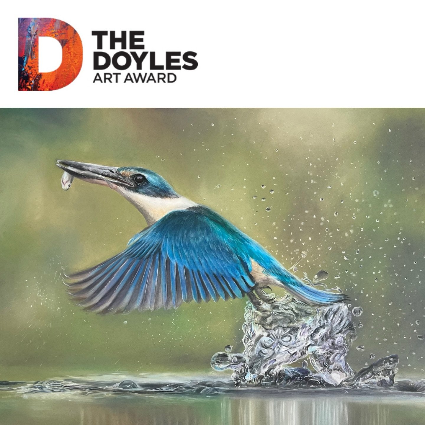 Tassie kingfisher flying to Queensland ✈️

🥳 My kingfisher pastel drawing is a finalist in the figurative category of this year&rsquo;s @thedoylesaward 

I&rsquo;ve had a few rejections this year, so when I saw the email I was fully expecting anothe