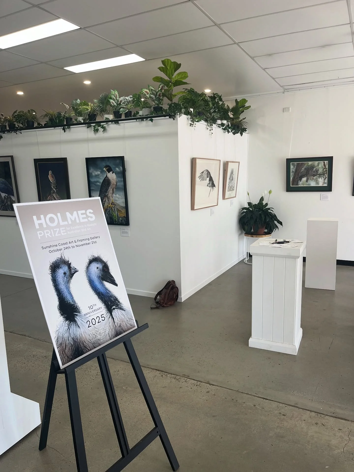 HOLMES PRIZE 2025 🌟🦉🦜

Opening night is done and dusted - a huge congratulations to overall winner @frances.mcmahon.birdartist 🤩🤩🤩

And award of excellence winners
🌟@michellefarmer_art 
🌟@catherinelidden 
🌟@gregoakleyart 
🌟@bay_of_whales_ga