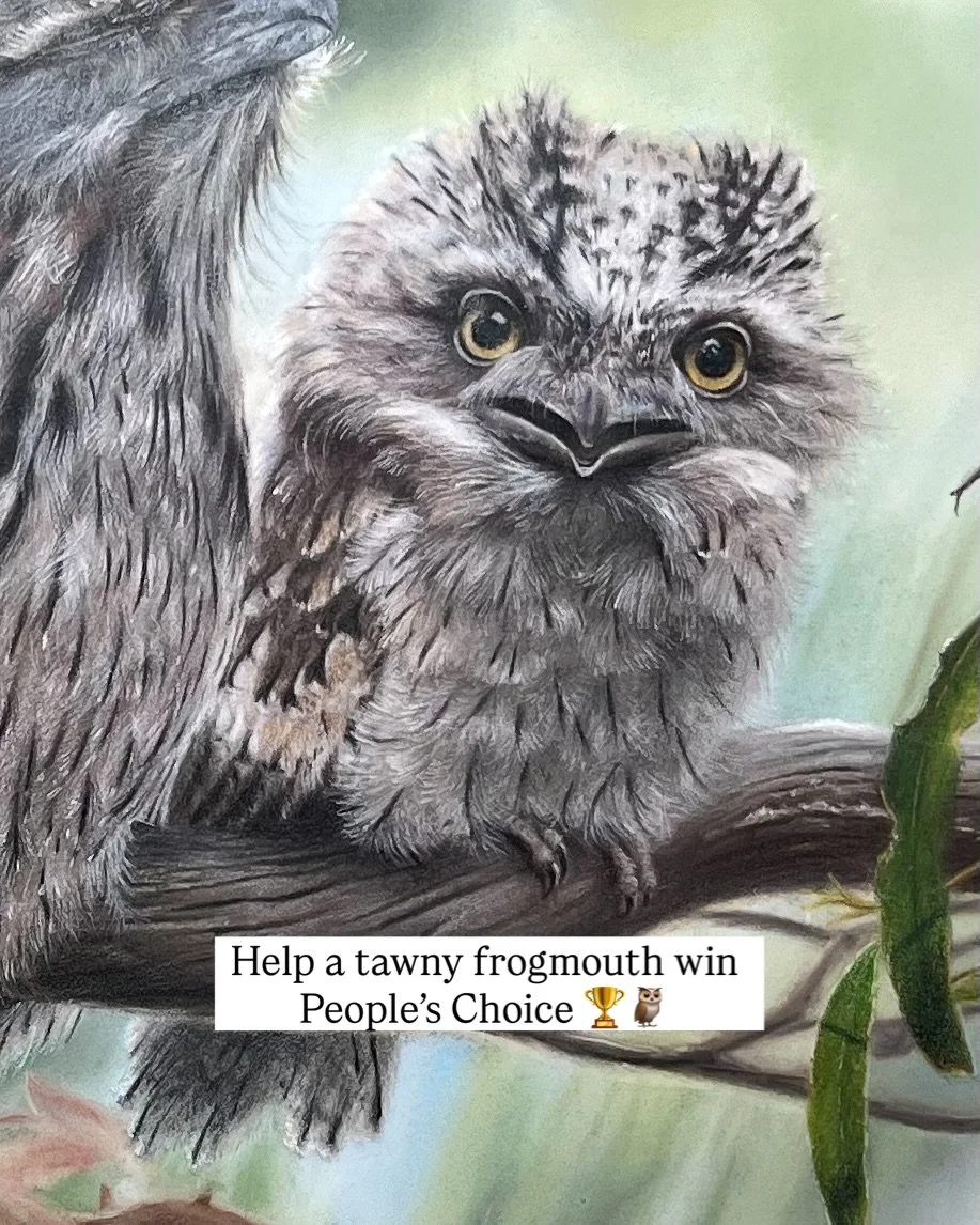 FINAL WEEK 🦉🦉🦉

Hard to believe the Holmes Prize exhibition for 2025 wraps up next week 😭 

🗳️ Have you voted in the People&rsquo;s Choice yet?

Check out the finalists in person or over on the Holmes Prize Facebook page. If you&rsquo;d like to 