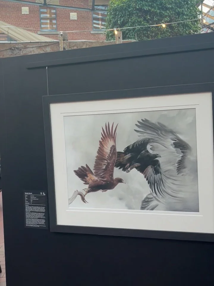 OPENING NIGHT 🥂

I had a lovely night at the opening of the 2025 Henry Jones Art Prize - I am so humbled to be included alongside such talented company!

Huge congratulations to @zoefitzherbert and @harry.blizzart for each taking out the $20k major 