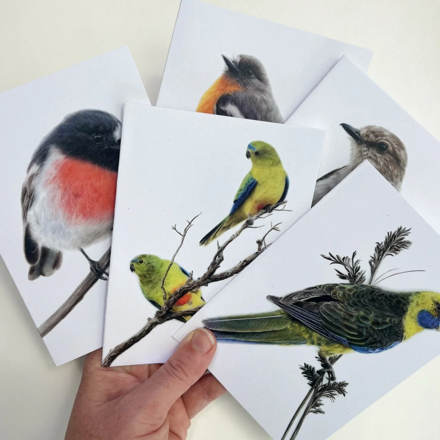 They&rsquo;re finally here... 💚

I&rsquo;ve just added a brand-new range of greeting cards to my website &mdash; featuring 20 of my favourite wildlife drawings. From cheeky wrens to curious quolls, these cards were chosen because they spark the exac
