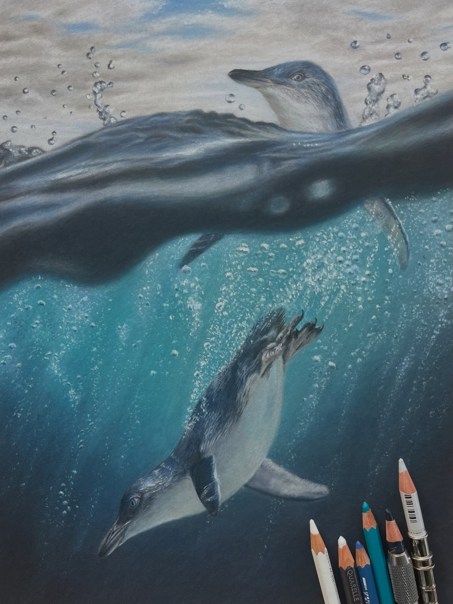 It&rsquo;s World Penguin Awareness Day 🐧

I titled this piece &ldquo;In their element&rdquo; because while penguins may look a little awkward on land, it&rsquo;s in the ocean where they&rsquo;re safest, strongest, and exactly where they&rsquo;re mea