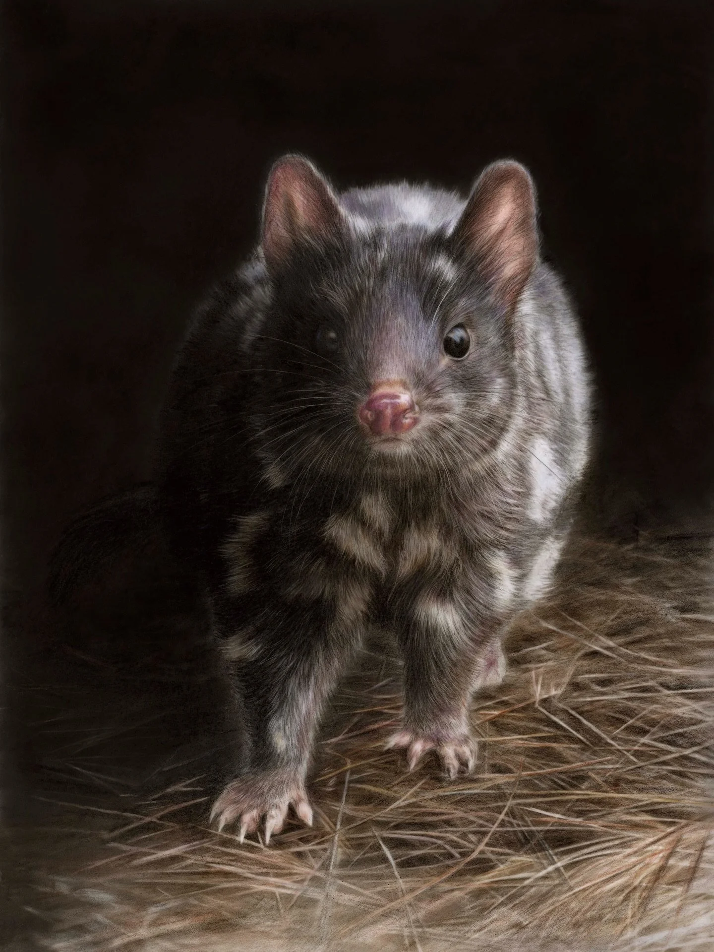 WORLD WILDLIFE DAY 🌿

Ok, I&rsquo;m late... But if it&rsquo;s any saving grace (and not totally cheesy 🧀) I like it to think that&rsquo;s because EVERY DAY is Wildlife Day! 😜

Sharing a few drawings from recent years - proceeds from every single o