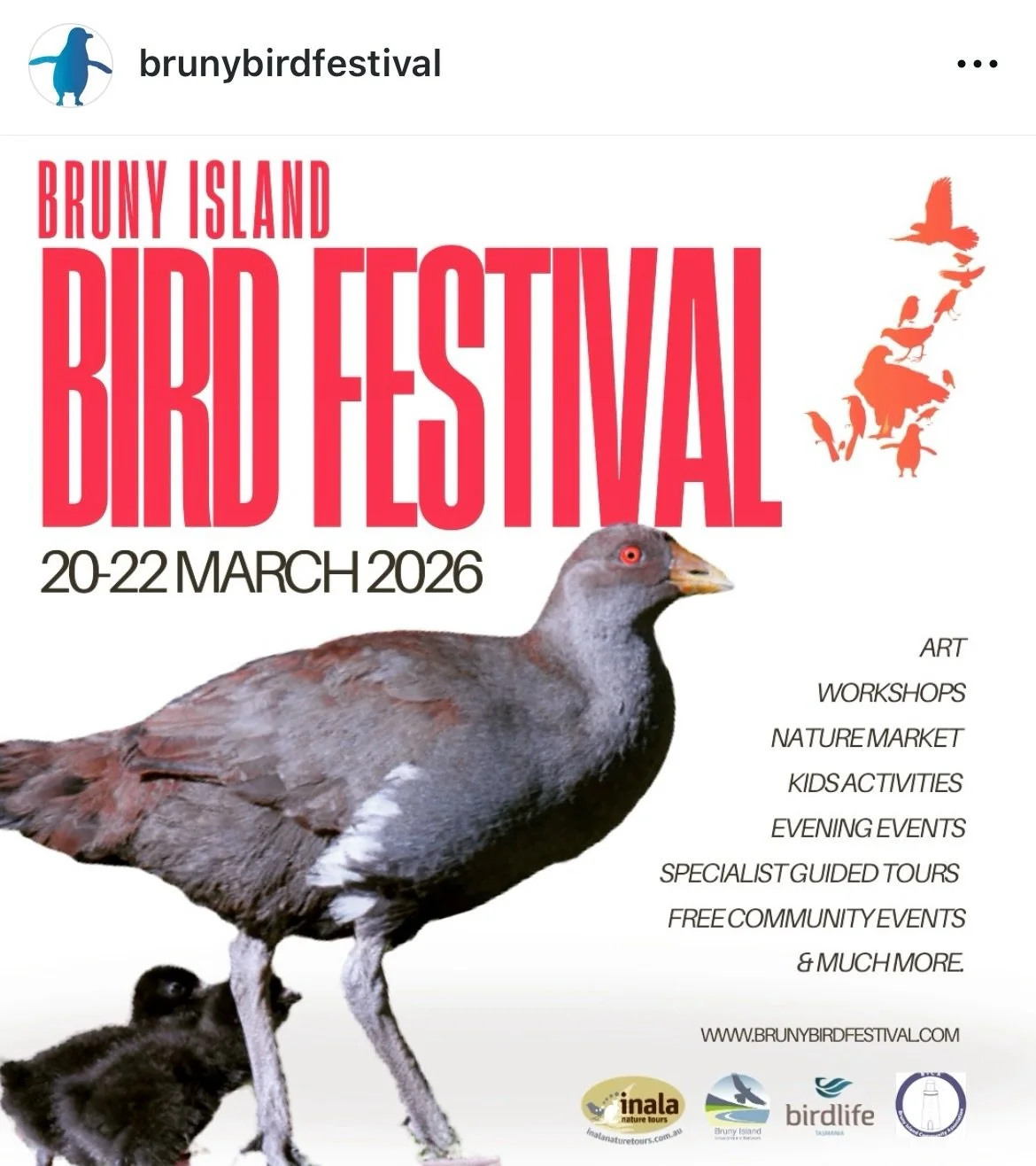 THIS WEEKEND 
🐦🪶🐤🦉🐧🦜🐣🦅🐦&zwj;⬛🪿🪺

The 2026 Bruny Island Bird Festival is on now!

🖼️ If you&rsquo;re lucky enough to be going, did you know there is an art exhibition running for the duration of the festival?

🦅 You can spot my wedge-tail