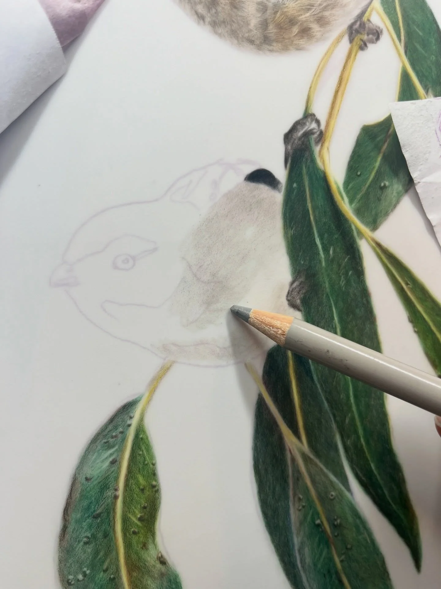 I&rsquo;m still here, just not doing a whole lot of posting right now (or art, if I&rsquo;m honest).

My motivation has taken a short holiday 🏝️

I&rsquo;ll be back soon. For now, here&rsquo;s a little work in progress 🌿

Tell me I&rsquo;m not the 