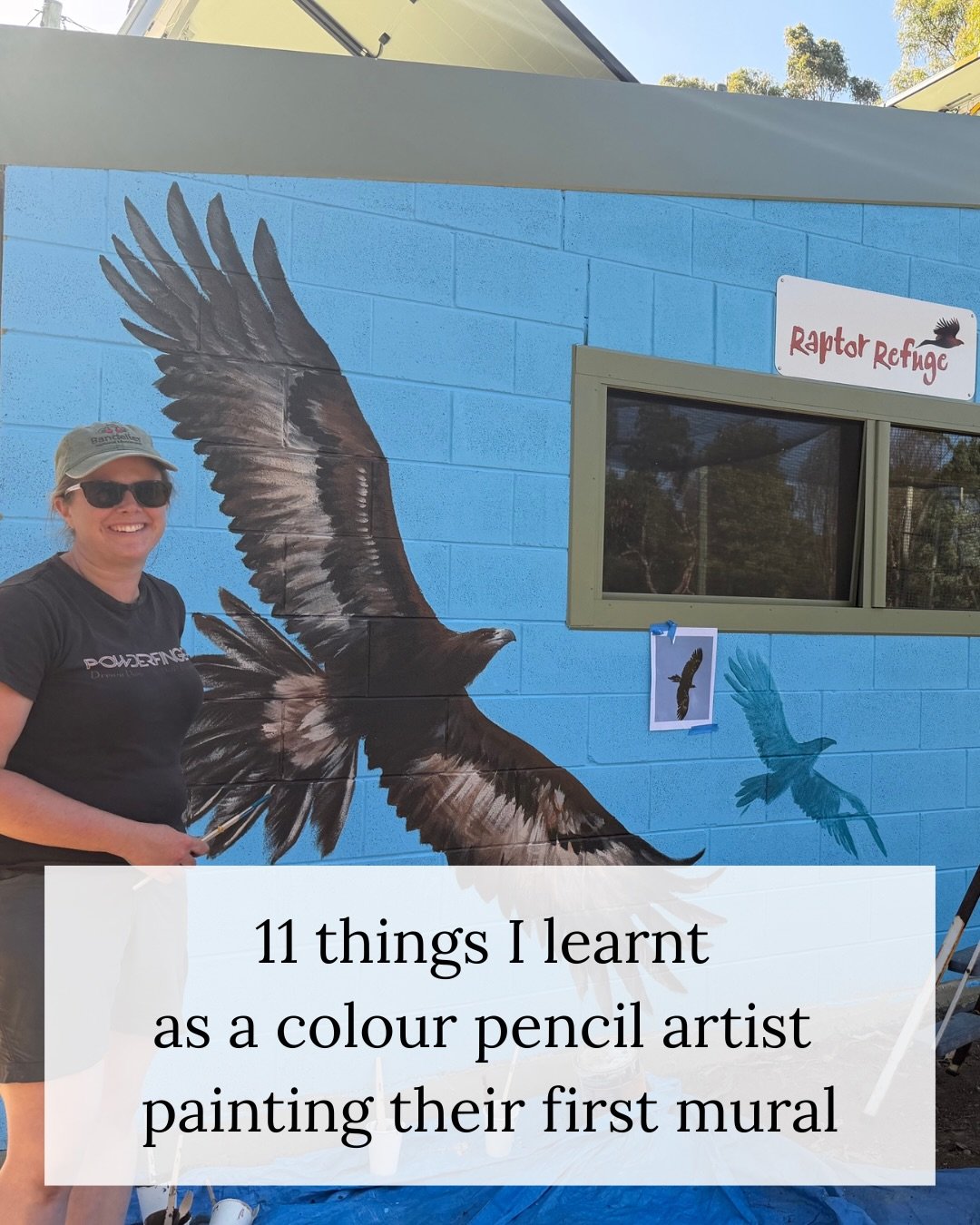 ✅ I went into this project knowing how to draw birds.

❌ I did not know how to paint birds four metres wide on the side of a building.

🪶 The team at @raptor_refuge knew that too, but they asked anyway. Legends. Everyone has to do something for the 