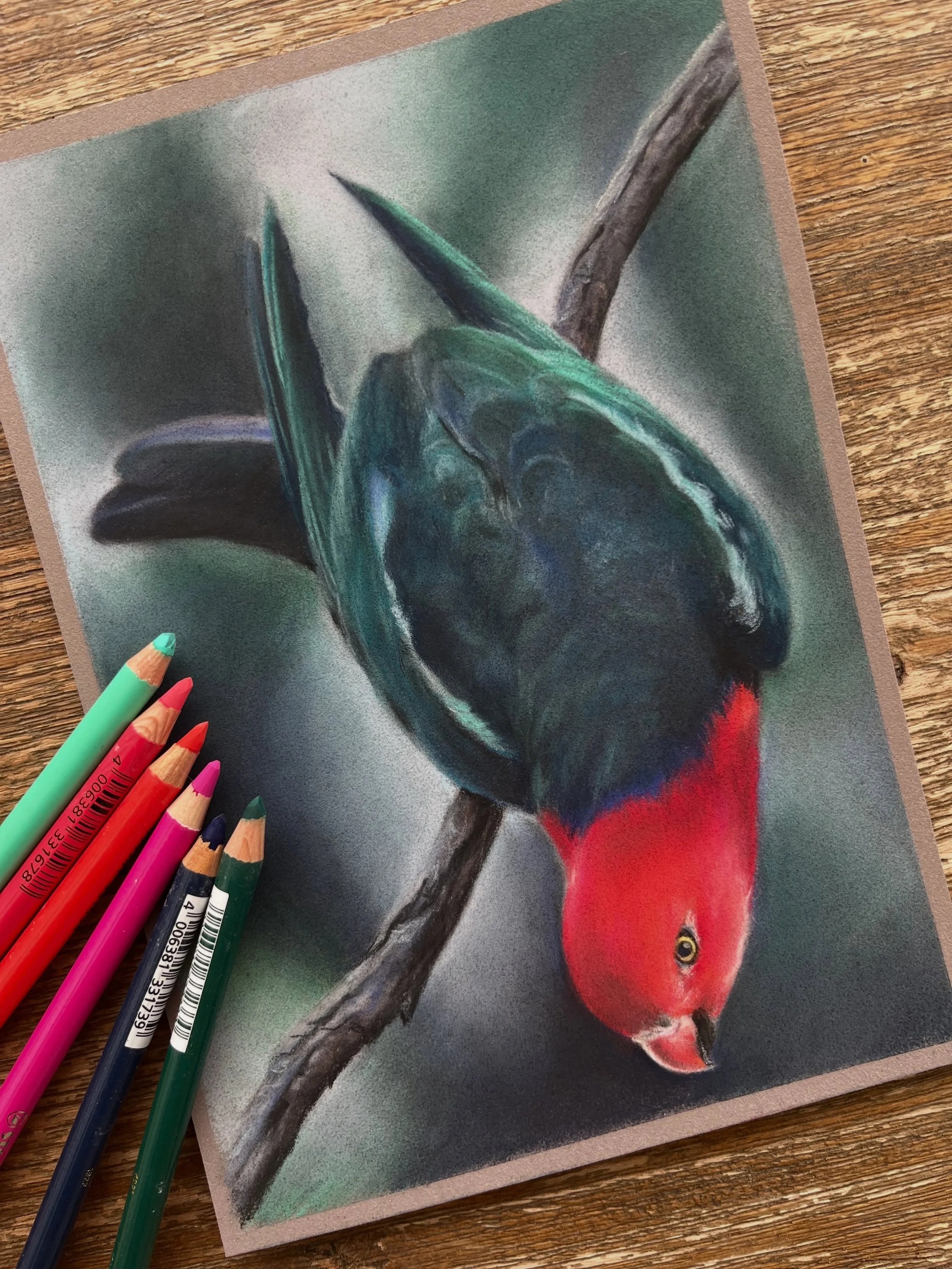 🦜WORLD PARROT DAY 🦜

May 31 is World Parrot Day

The day was established in 2004 by the World Parrot Trust to combat the illegal trade of wild-caught birds. 

Nearly one in three parrot species is threatened with extinction in the wild. Tasmania is