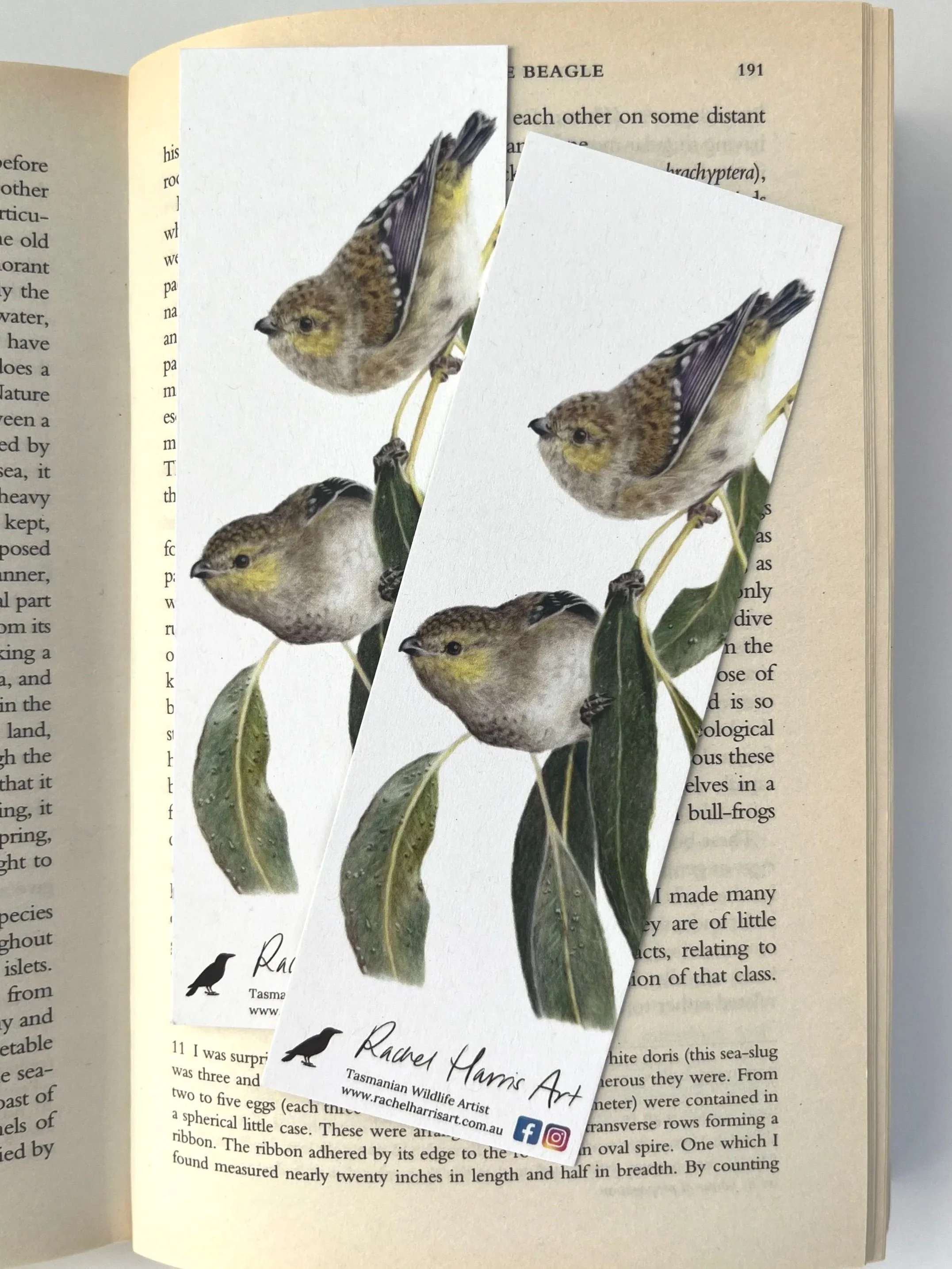 Rachel+Harris+Art+-+bookmark+-+40spotteds.jpg
