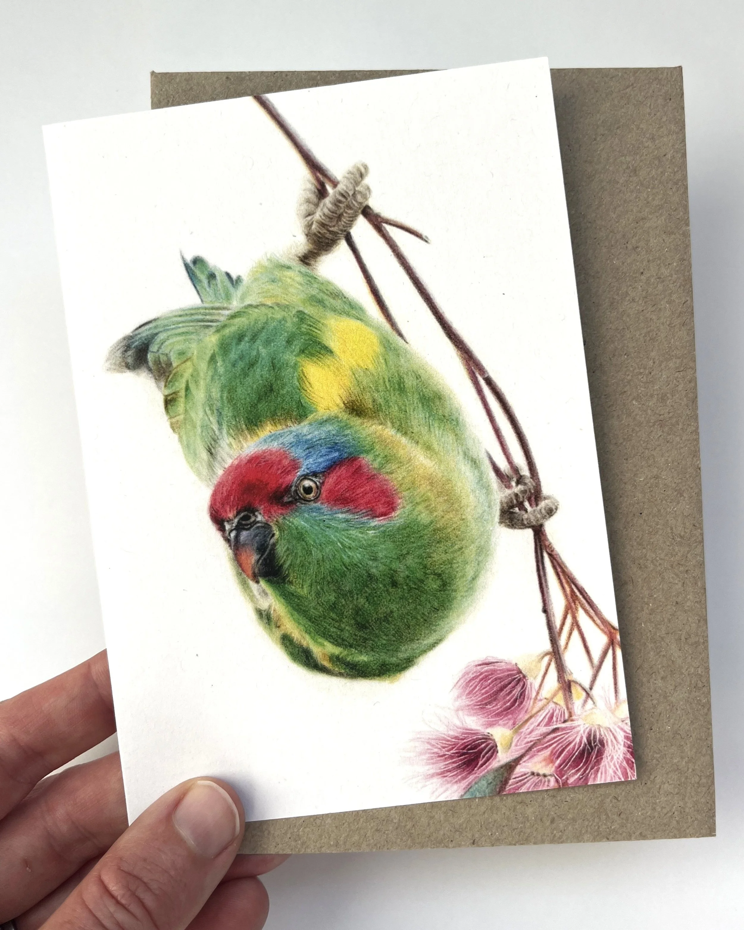 Rachel Harris Art - greeting cards - musk lorikeet.jpeg