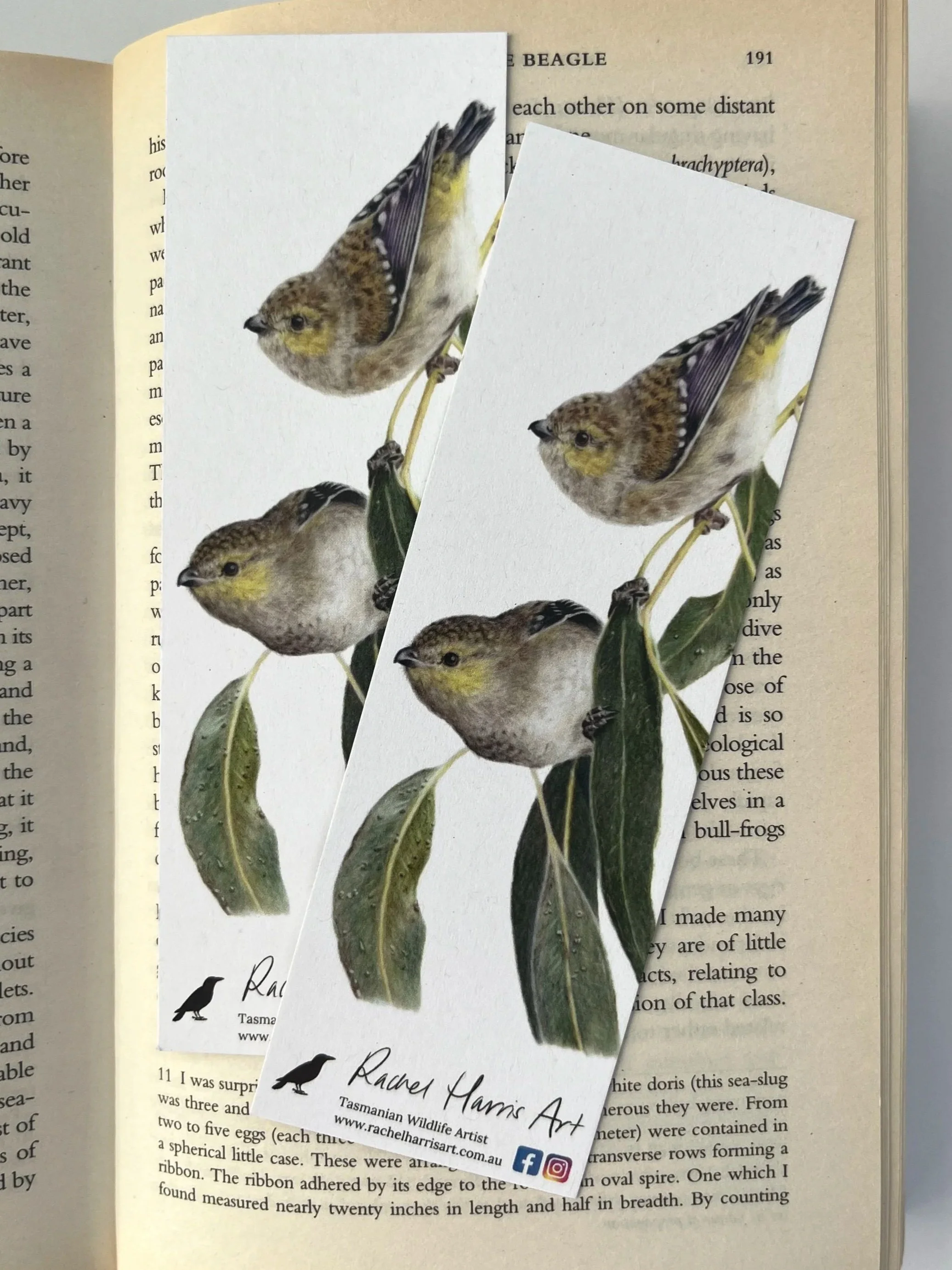 Rachel+Harris+Art+-+bookmark+-+40spotteds.jpg