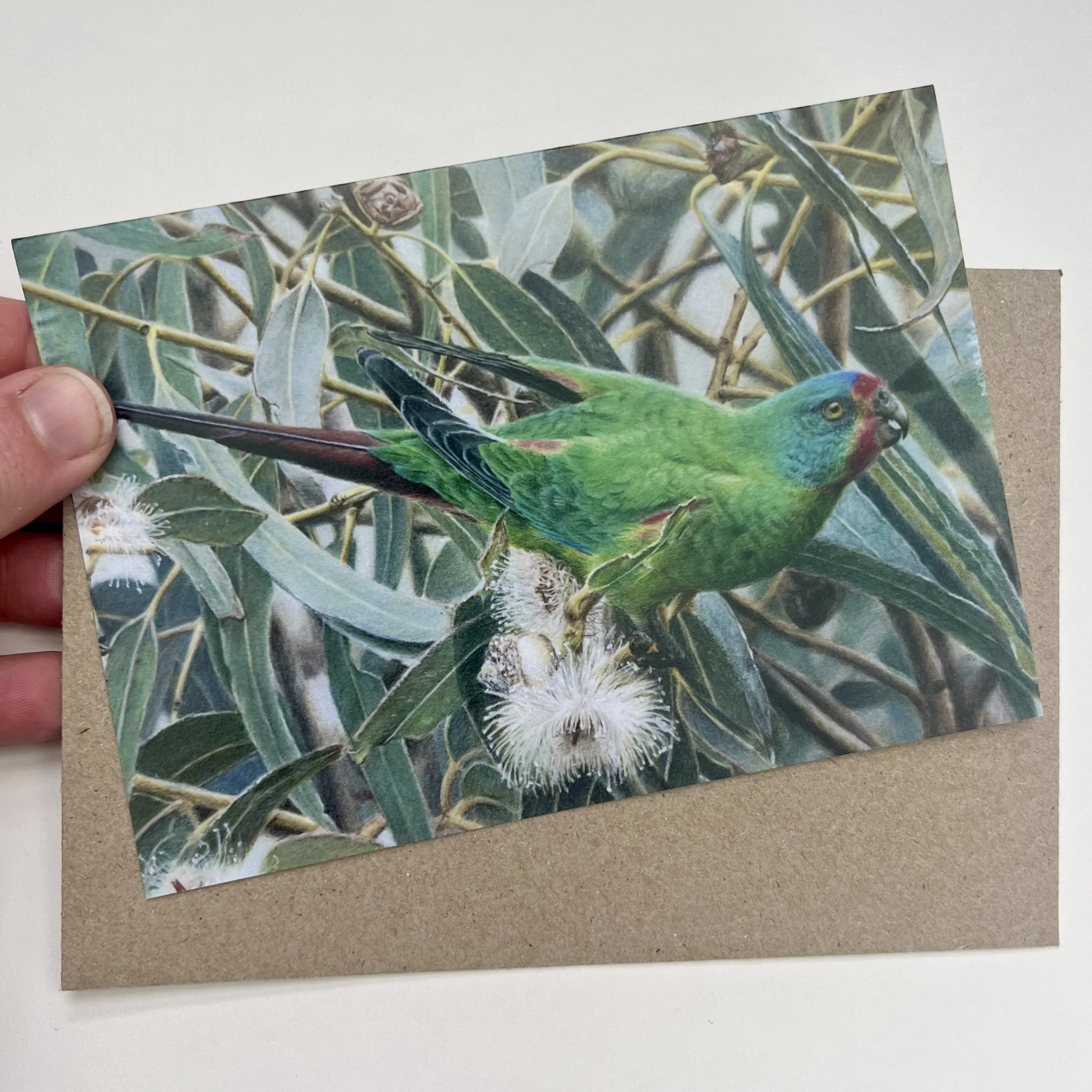 Rachel Harris Art - greeting card - swift parrot.jpg