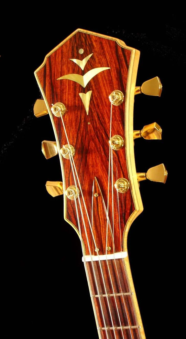 archtophead.jpg