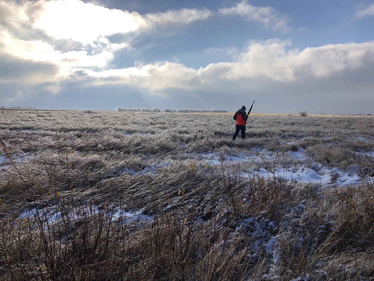 Early morning hunt after an icy fog. Photo by Bruce Palmer.