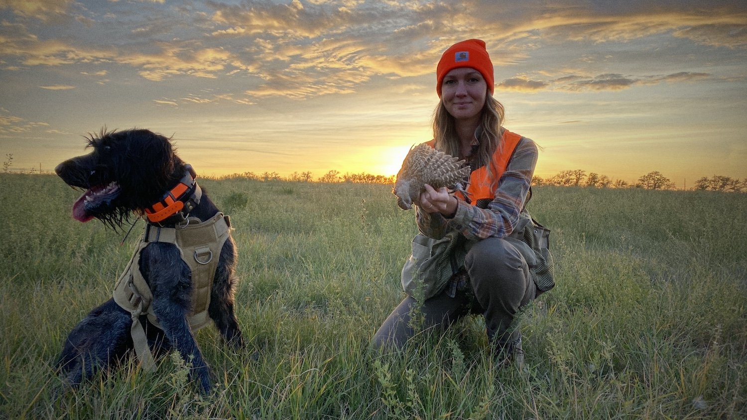 Photo by Joshua Boaz Pribanic