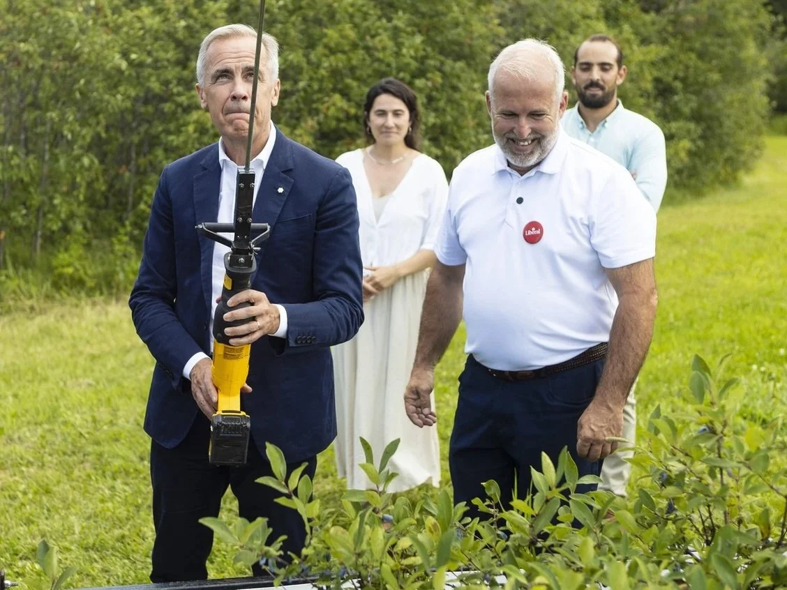 Liberal byelection sweep cements Carney's flag-rallying strategy