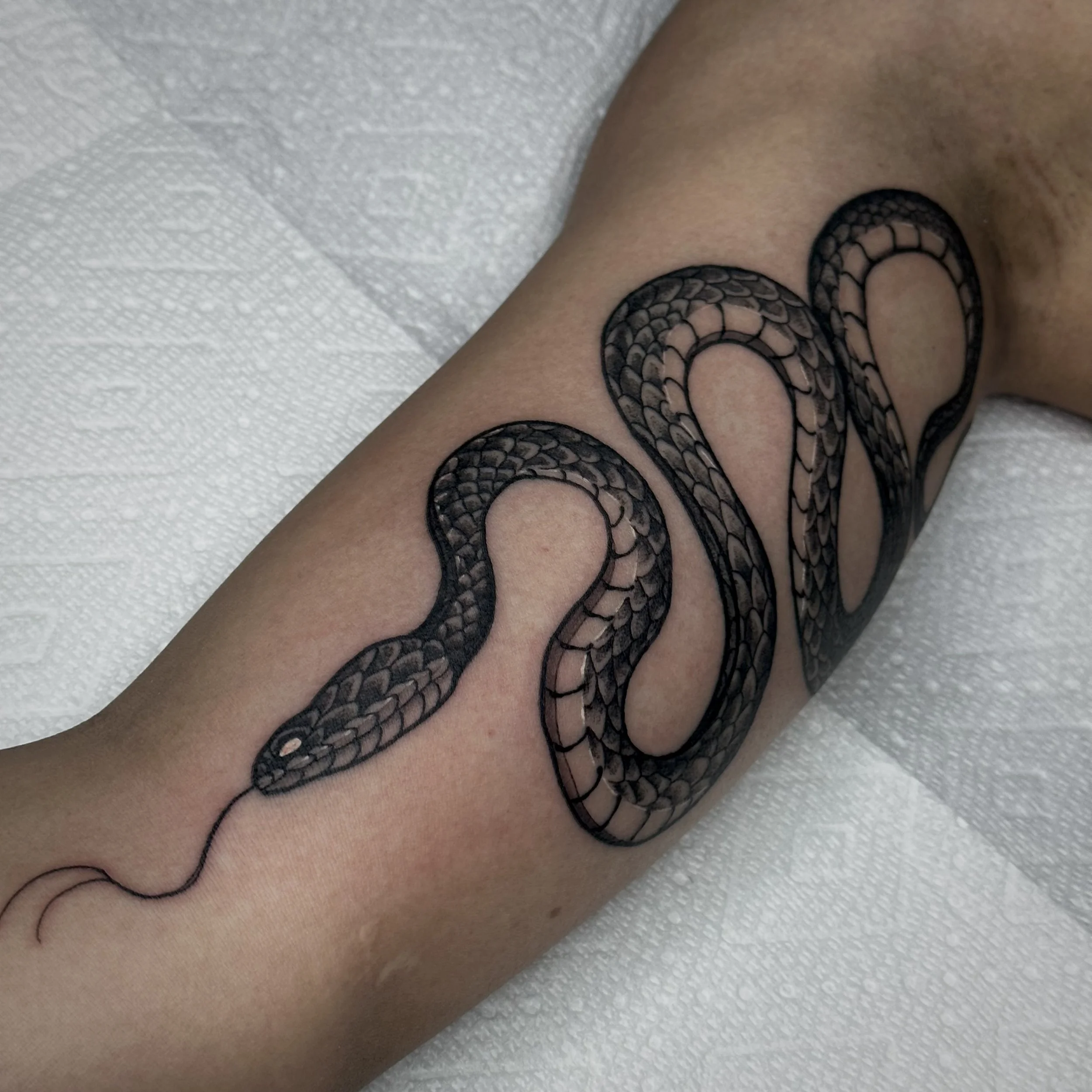 tattoo of snake on arm with an illustrative neo traditional vibe by edgar.tattoos