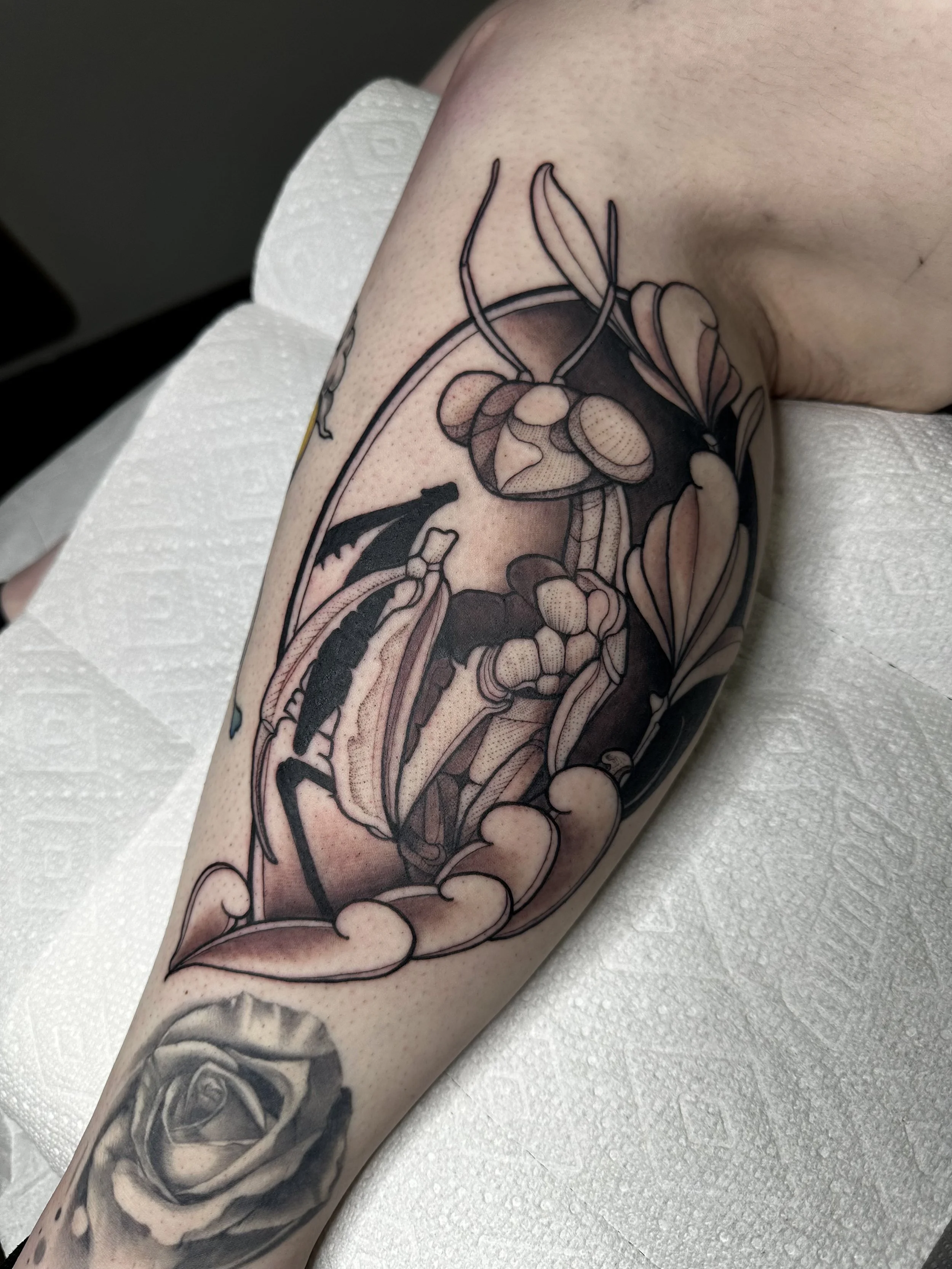 neo traditional praying mantis, mantis tattoo, blackwork, black and gray calf tattoo, leg tattoo, colorado springs, colorado tattoo artist