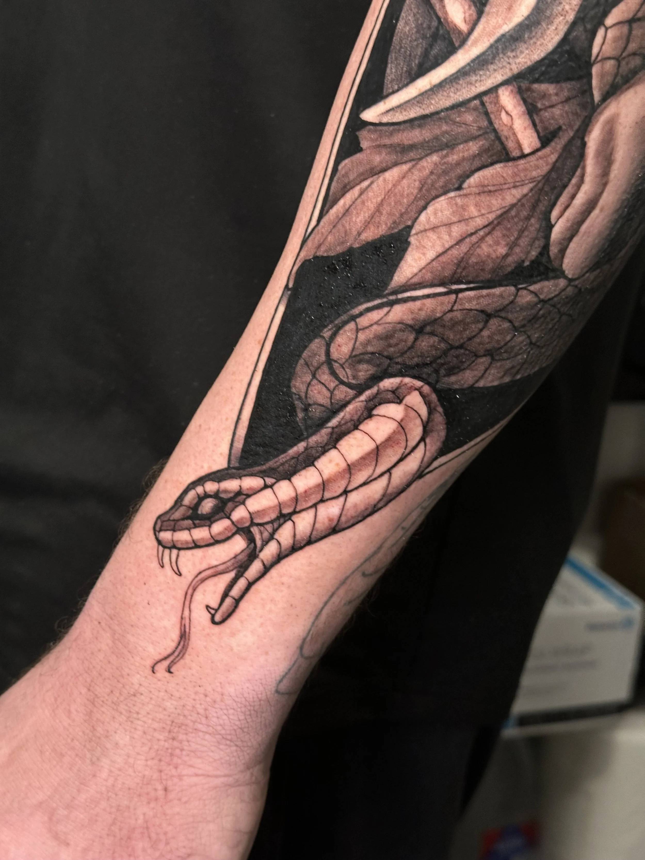 snake tattoo, neo traditional, black and gray, scales, freehand tattoo, colorado springs tattoo, colorado tattoo artist