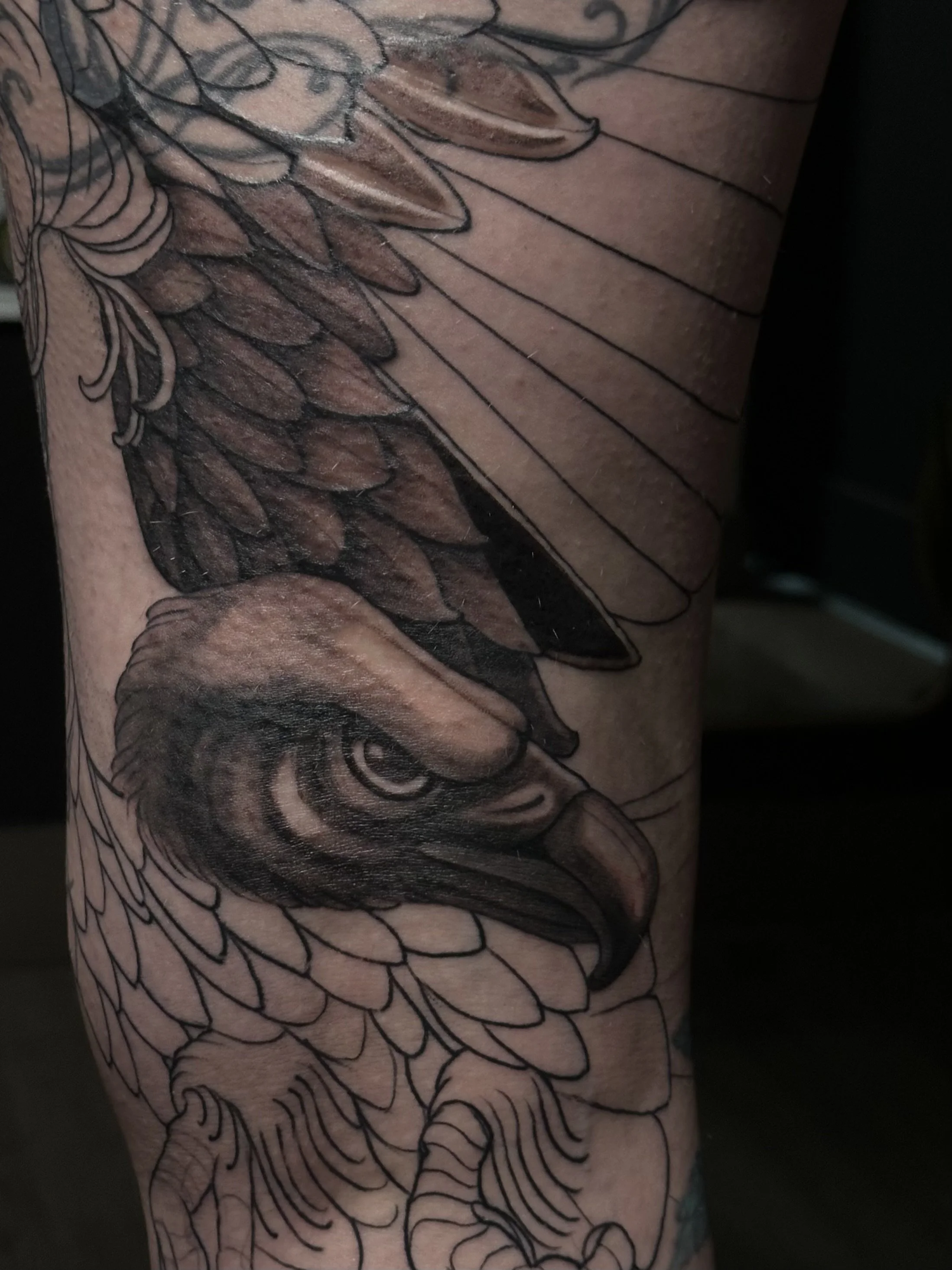 vulture tattoo, cover up tattoo, black and gray, black and grey, illustrative, neo traditional, line work, work in progress