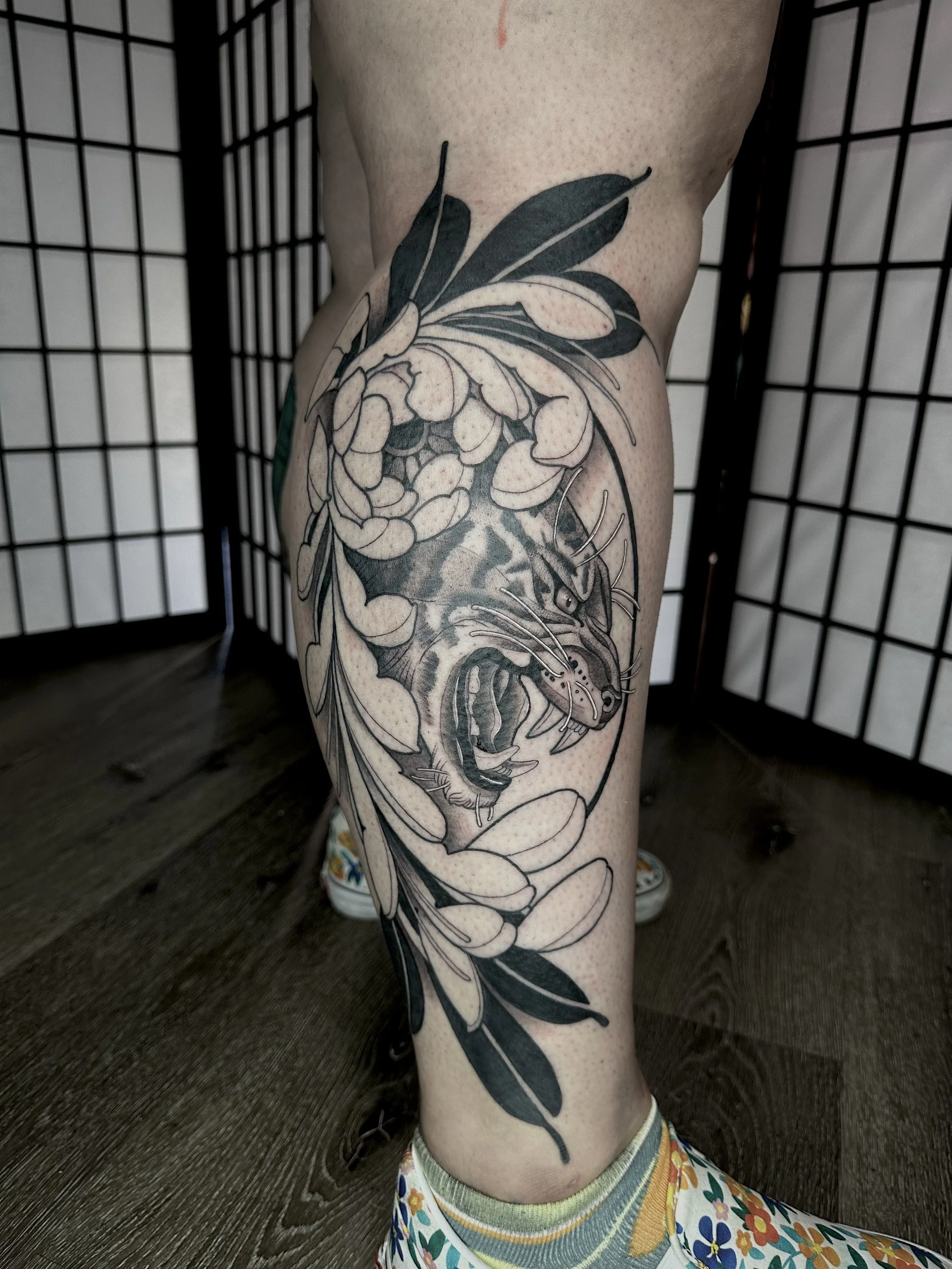 tiger, angry tiger, tiger tattoo, chrysanthemum, neo traditional, ornamental, flow, calf tattoo, leg tattoo, leaves, black blackwork
