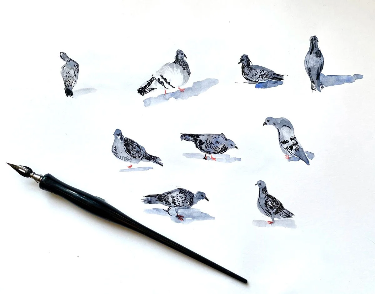 A sheet of paper with watercolor sketches of ten pigeons, a pen with a nib, and a shadow cast by the pigeons.