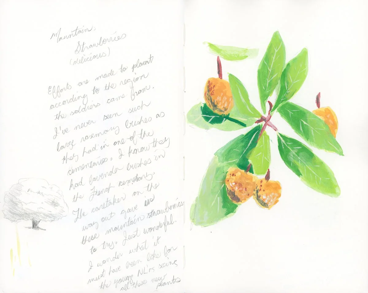 0526-cclarke-ResidencySketchbook-35.jpg
