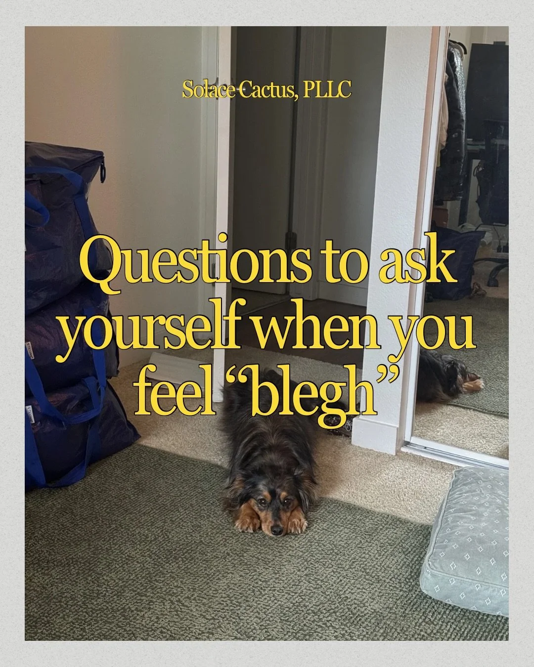 &ldquo;Blegh&rdquo; days aren&rsquo;t random. 

They&rsquo;re data.

What you do with that information is what changes things.

#therapy #selfawareness #burnout #anxietyhelp #washingtontherapist