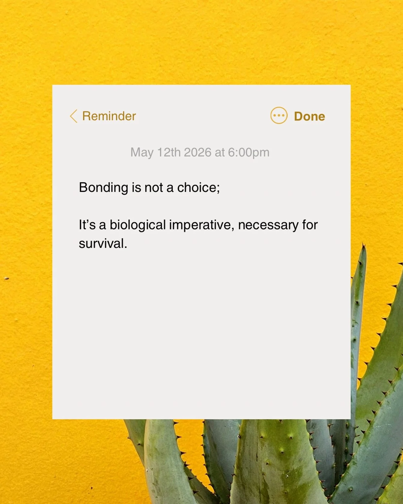 Humans are wired for attachment, safety, and co-regulation. From the moment we&rsquo;re born, connection helps shape how we survive, heal, and understand ourselves.

Sometimes the patterns we developed to protect ourselves in relationships are actual