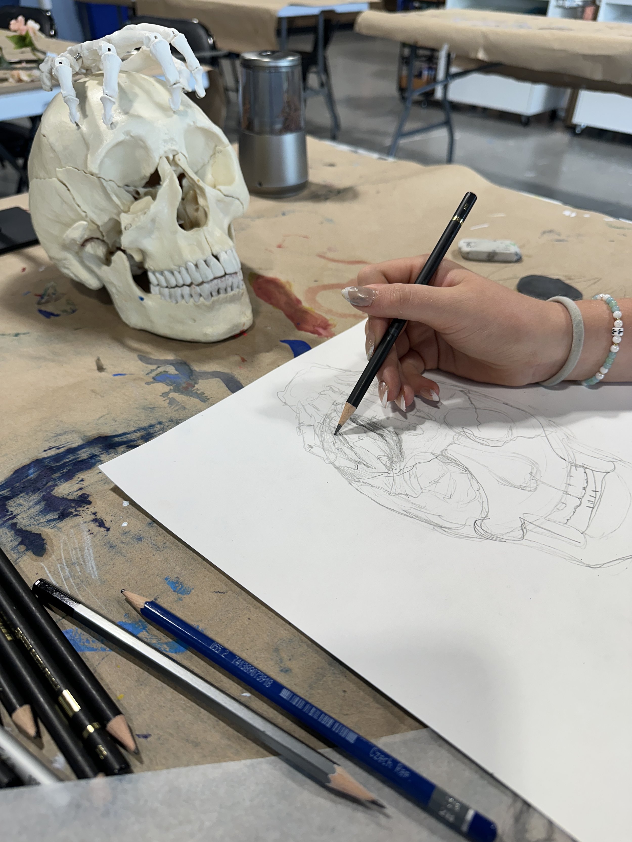 Skull Still Life.JPG