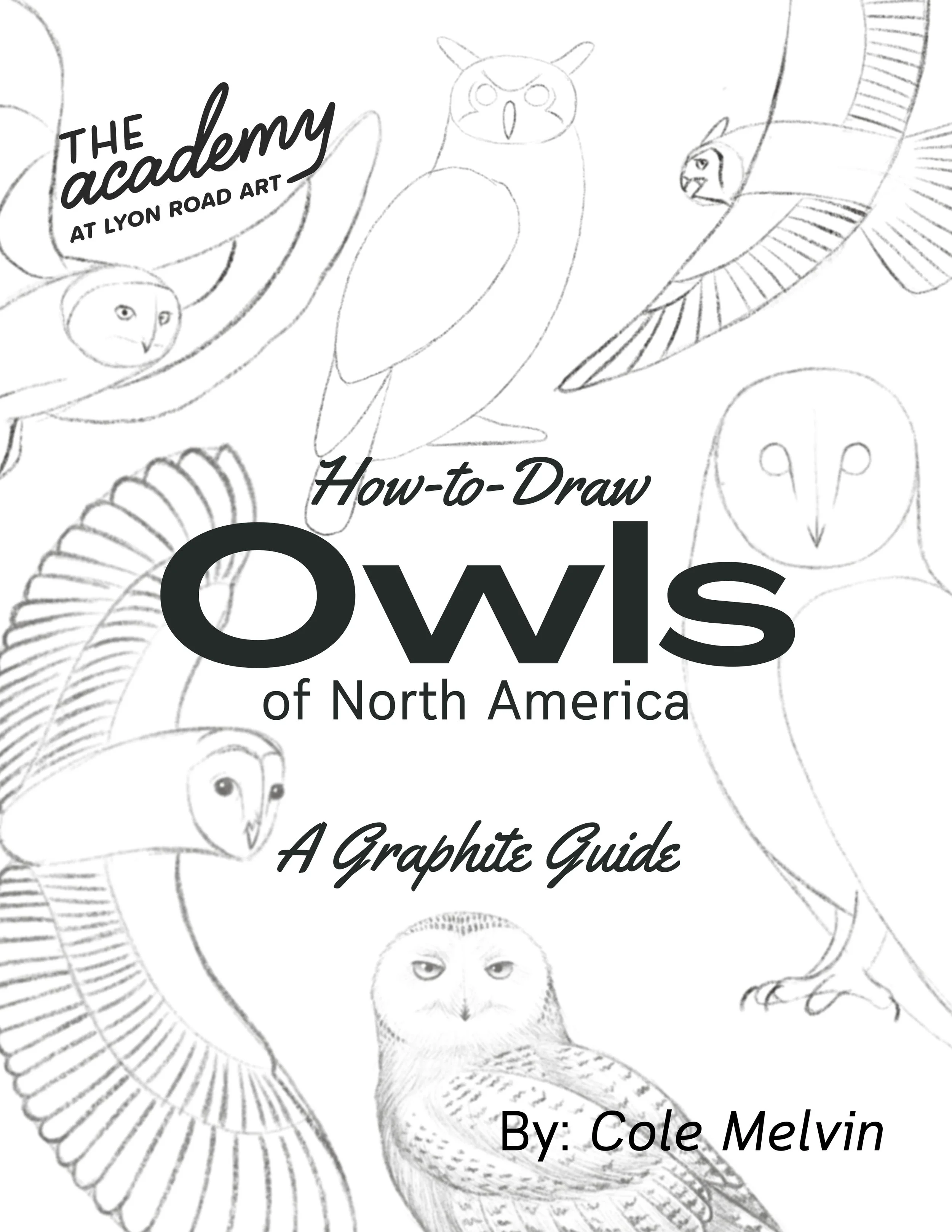 How-To-Draw Owls Digital Download