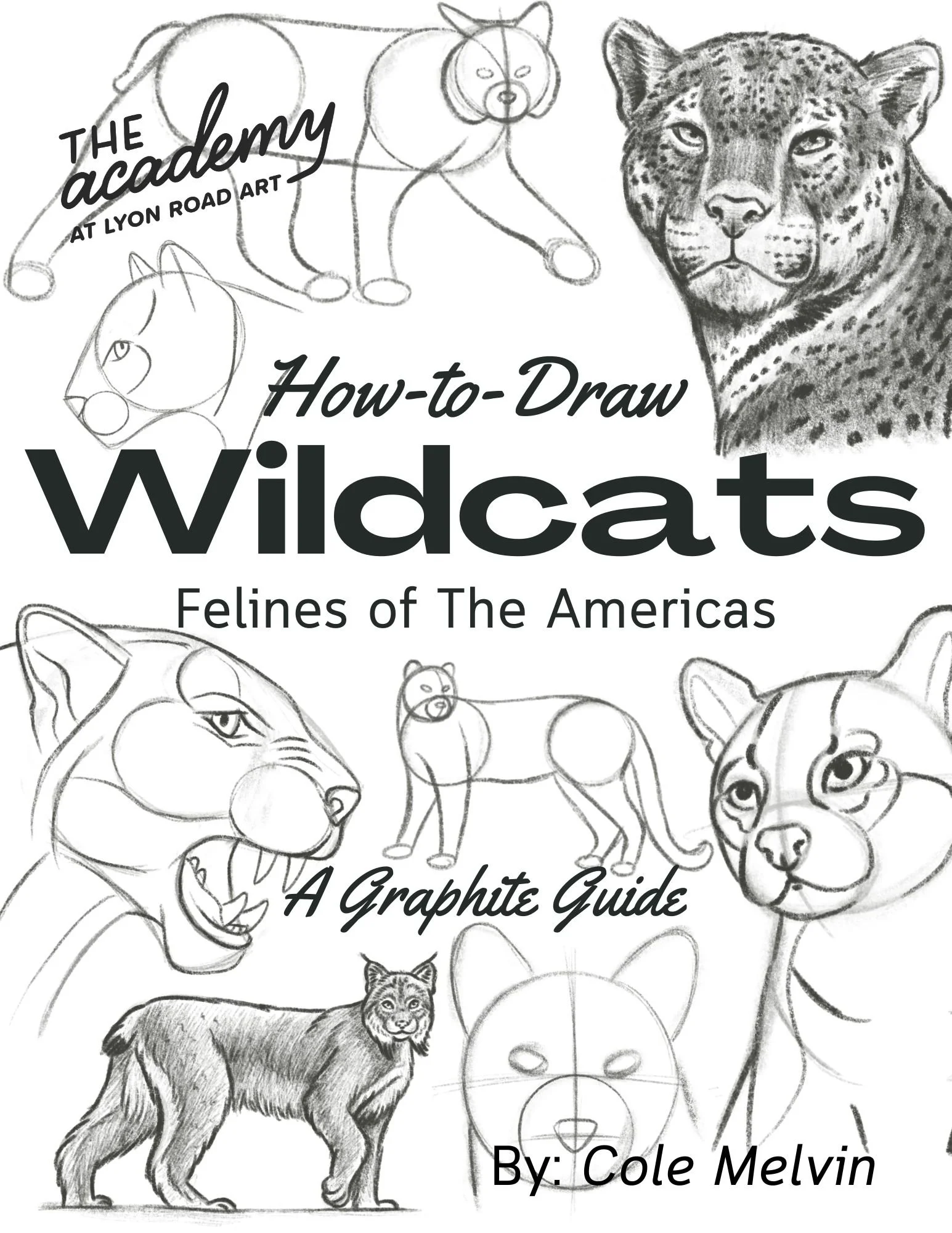 How-To-Draw Wildcats Digital Download