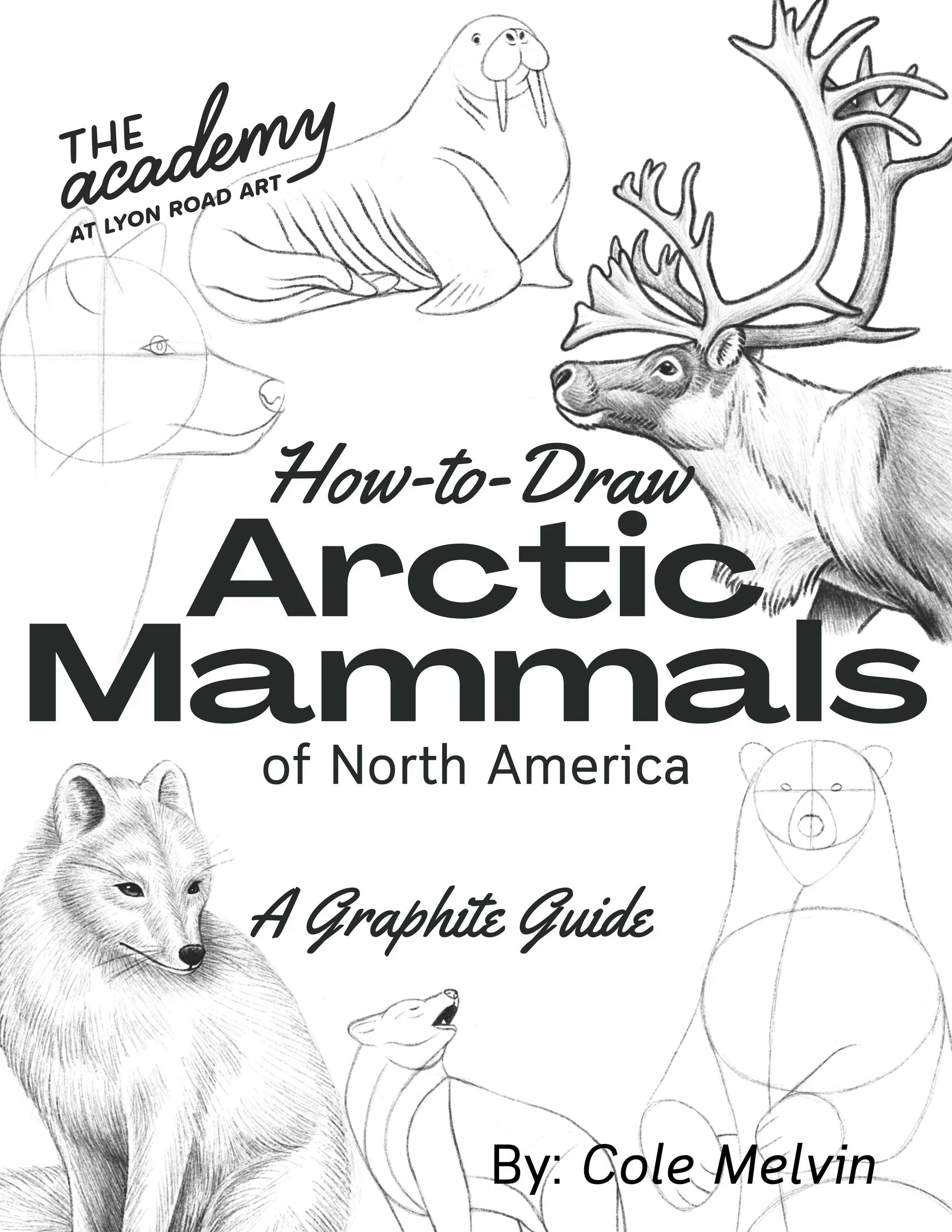 How-To-Draw Arctic Mammals Digital Download
