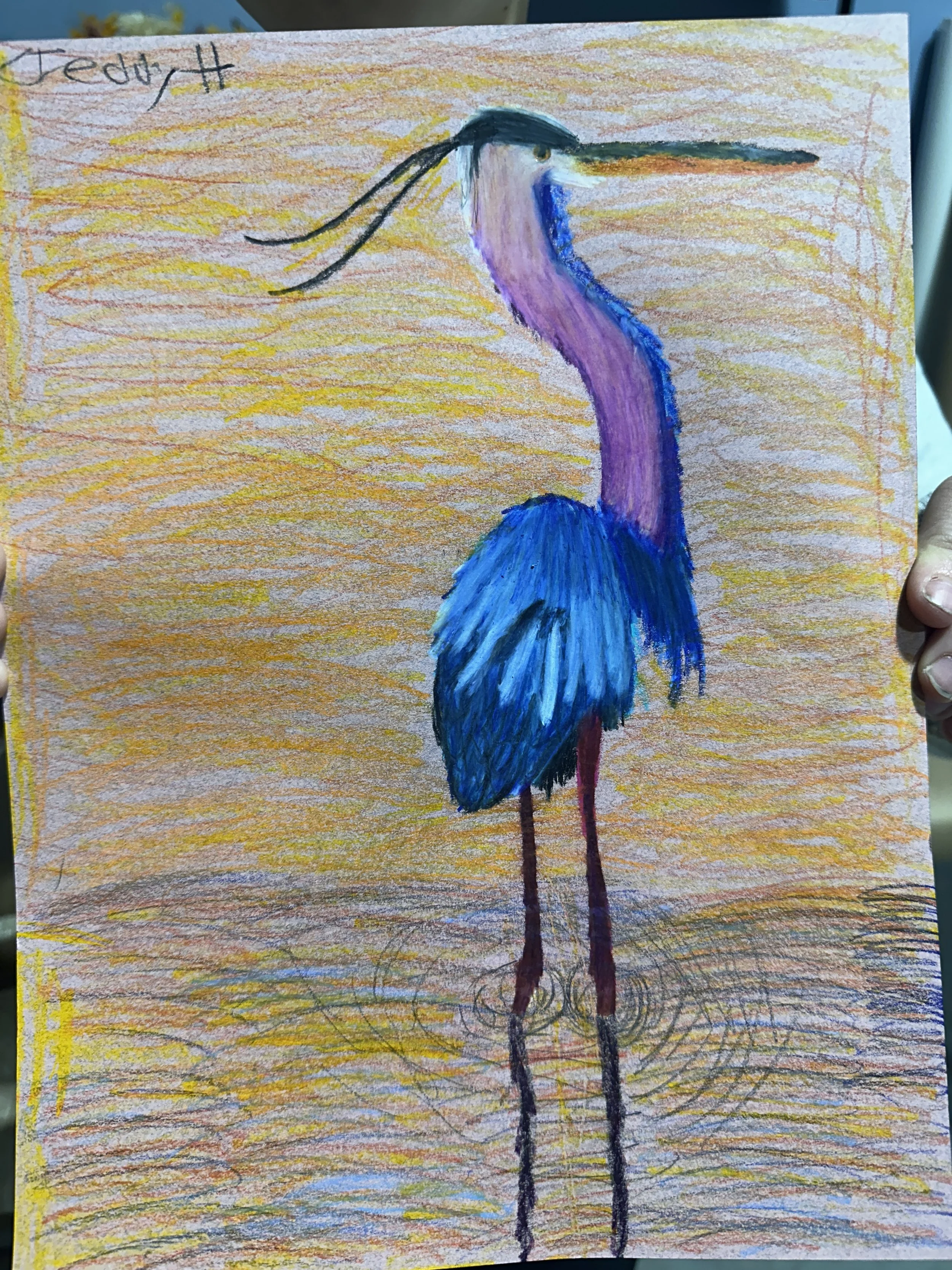Great Blue Heron.JPG
