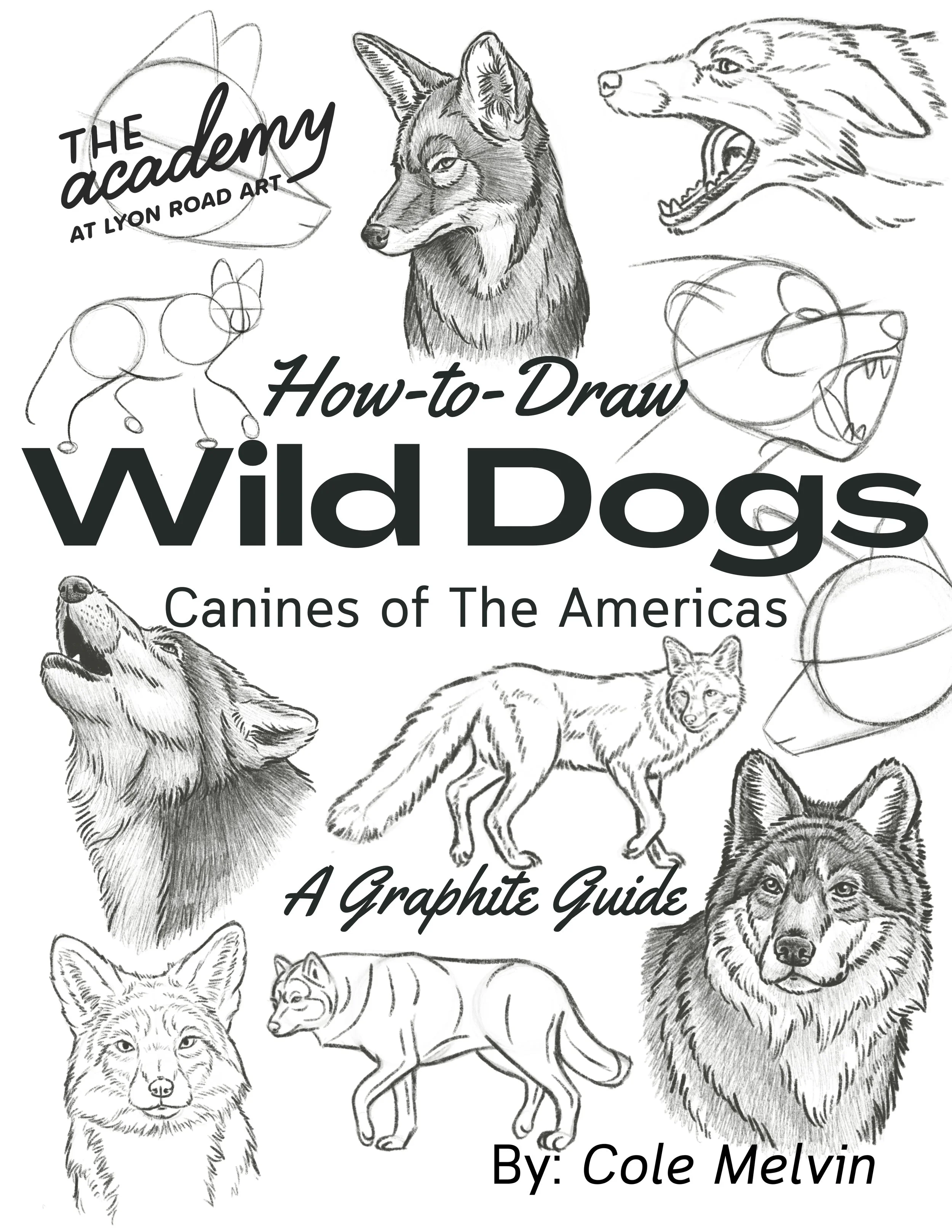 How-to-Draw Wild Canine.jpg