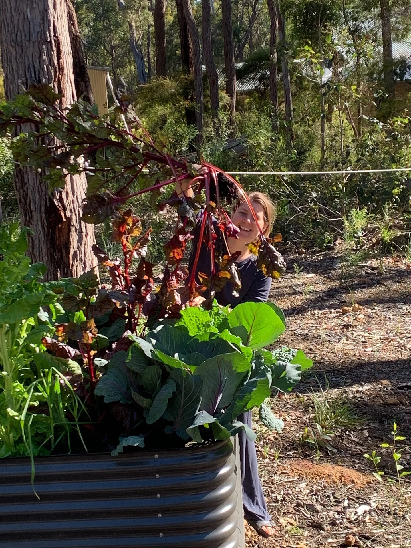 i woke before my alarm today with lots of energy. i watered my garden in the sunshine with maple at my feet. marcus made me a coffee in my grandmas cup. we pulled beets and laughed because they were smaller than we hoped. i&rsquo;m still in my jammie