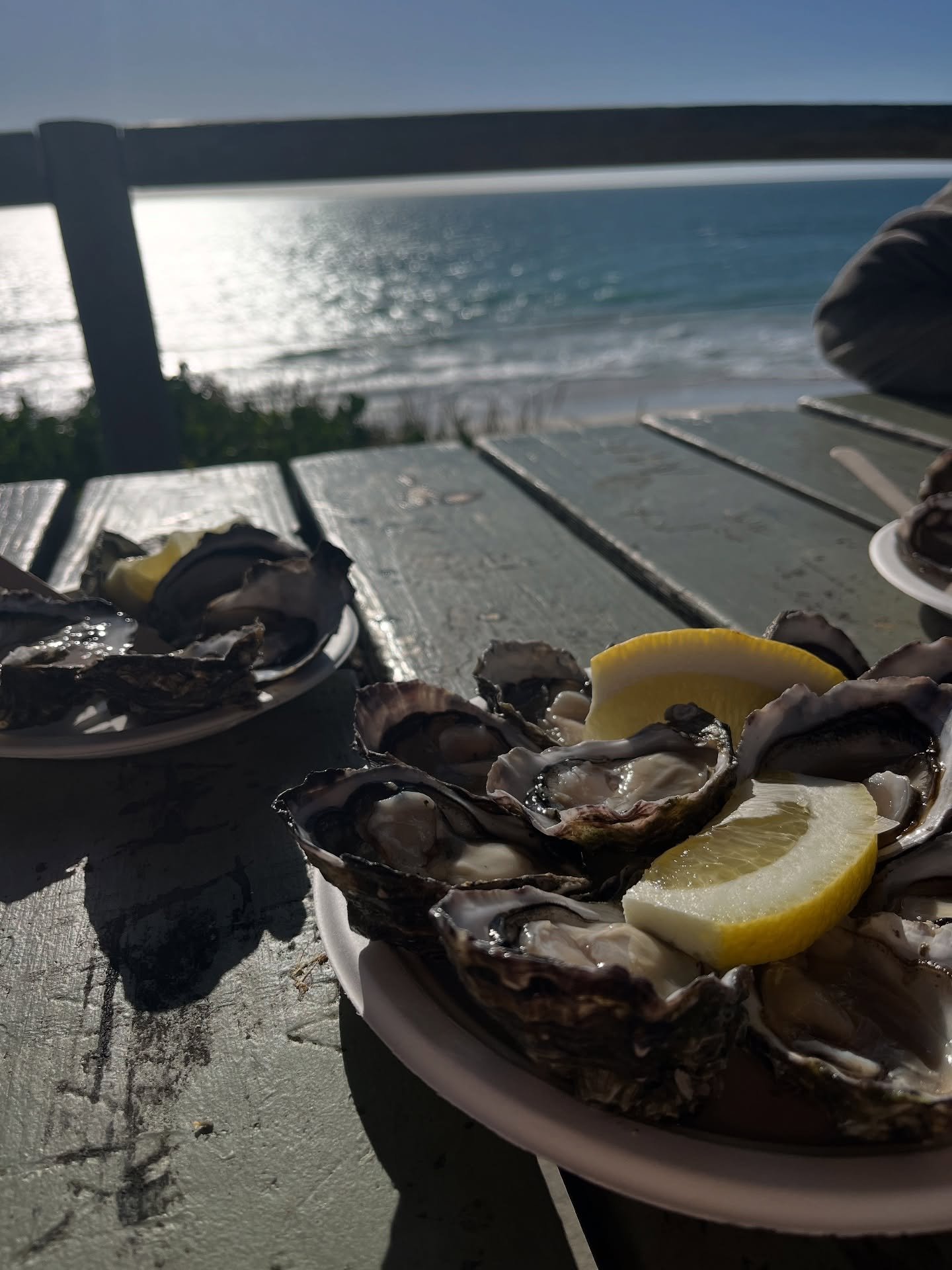 SUMMER! here are a few things that have made me very happy lately outside of recent holidays. trying to weave happiness and joy into life wherever i can so that i&rsquo;m not waiting on those few weeks of holidays per year and instead frothing on lit