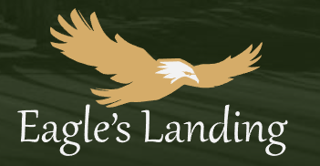Eagles landing.png