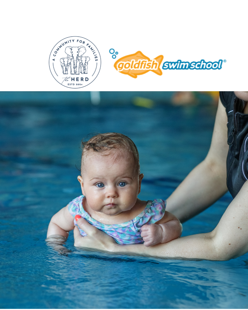 Baby's First Swim with Goldfish Swim School of Milford