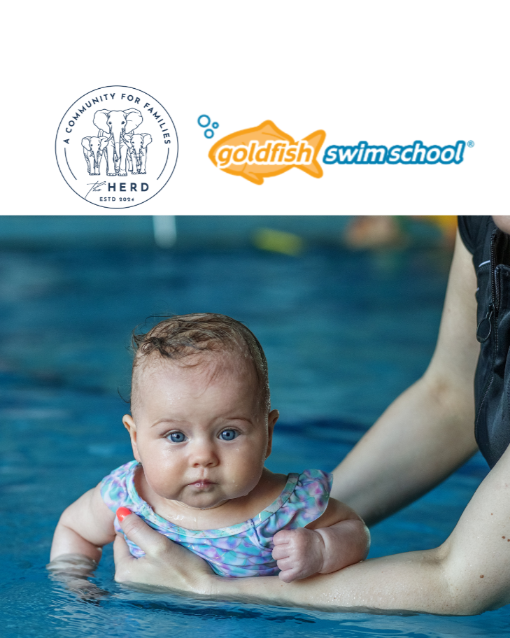 FREE WEBINAR: WATER SAFETY with Goldfish Swim School of Milford