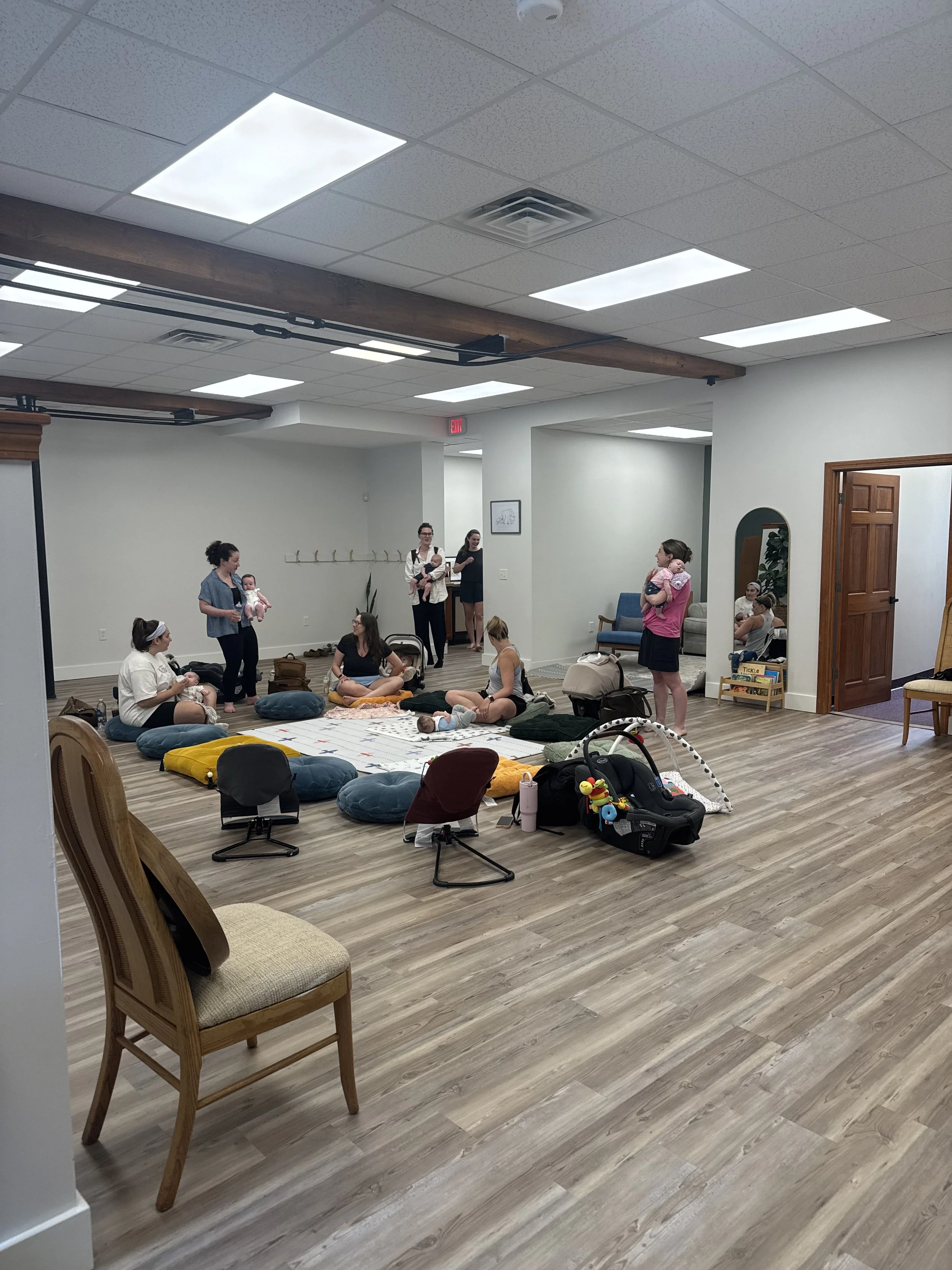 Healing Herd Postpartum Group 