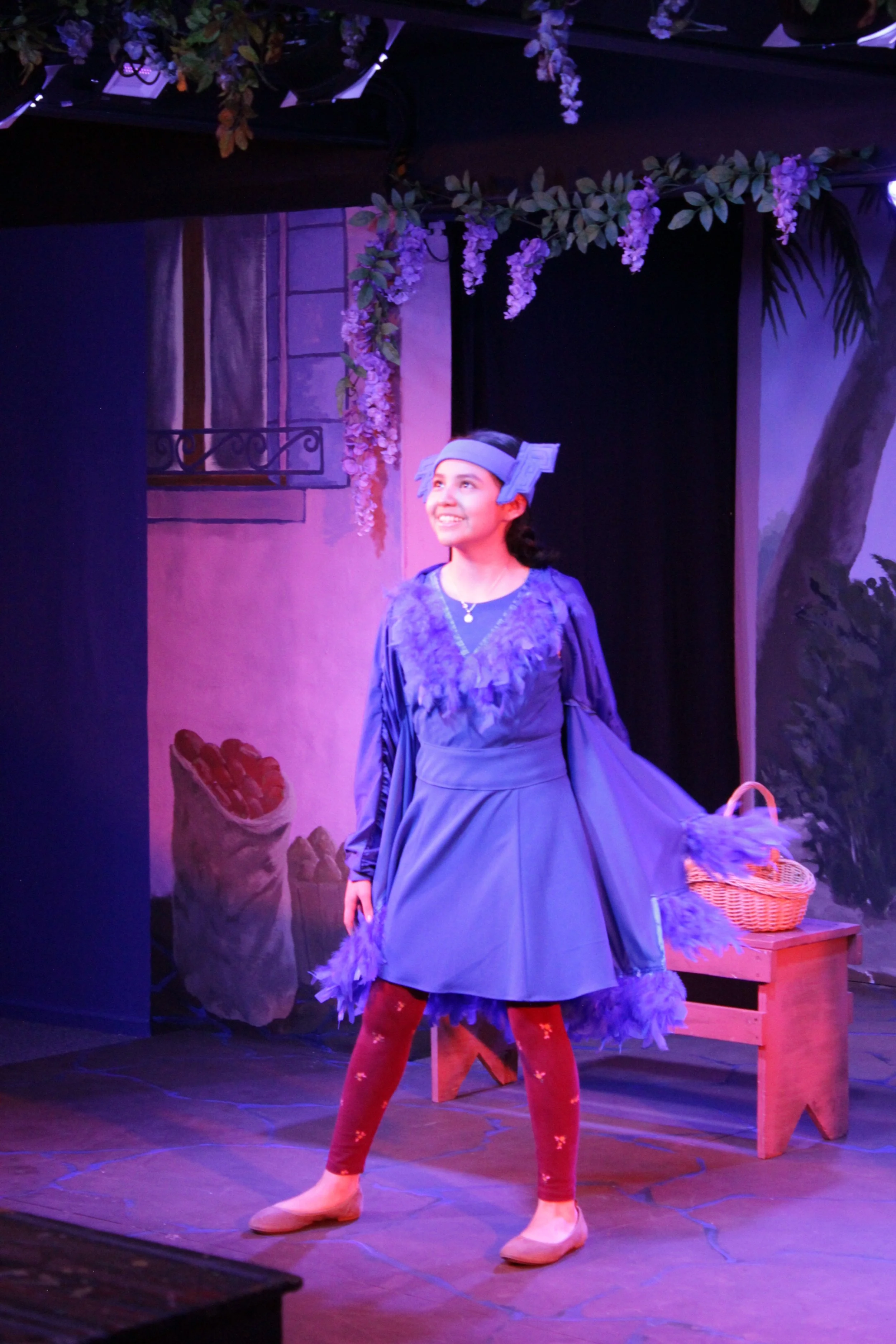 Blue Feathered Chicken