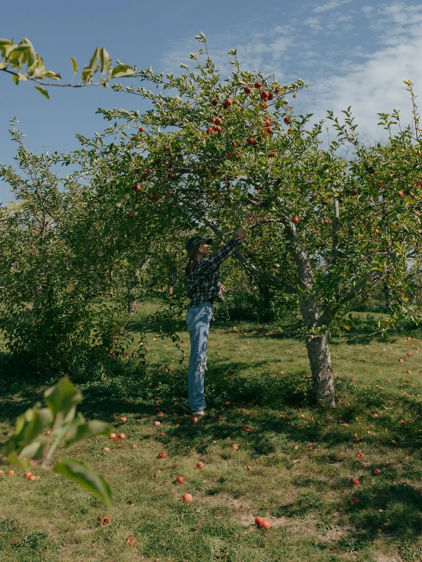 in the orchard 🍎 

#omahaphotographer #nebraskaphotographer #iowaphotographer #midwestphotographer #coloradophotographer #chicagophotographer #kansascityphotographer #minnesotaphotographer #wisconsinphotographer #missouriphotographer