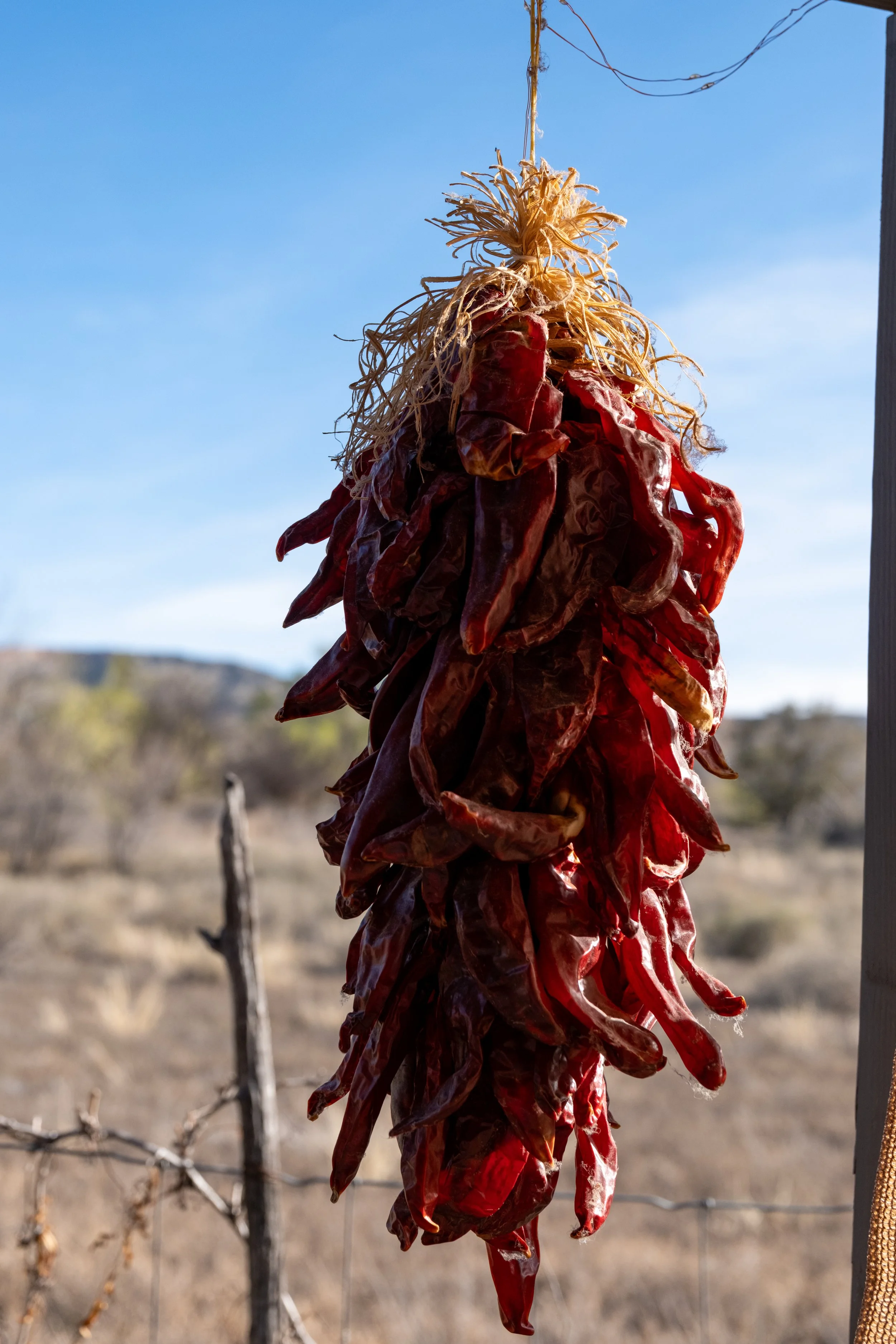 DSCF0915.JPG