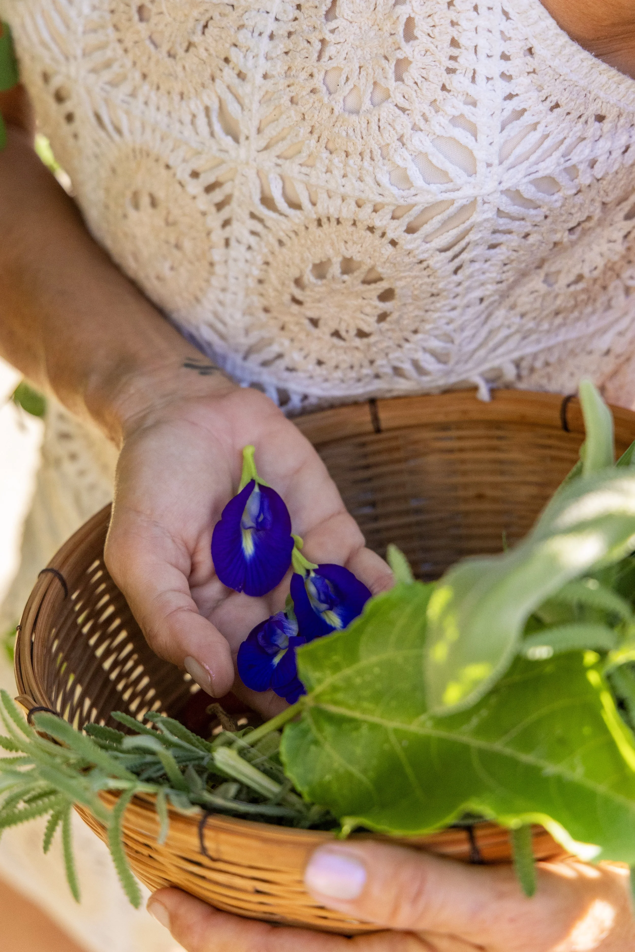 Fresh-picked botanicals for the Botanical Rituals Collection