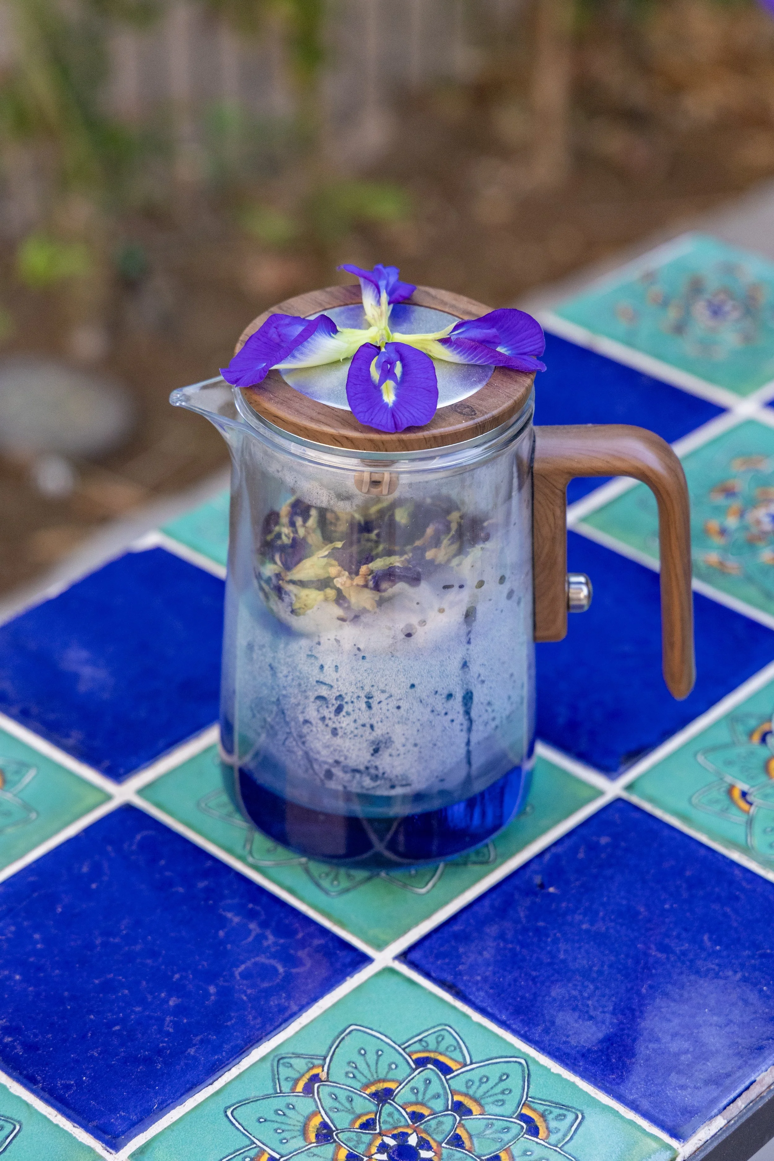 Hand-picked botanical tea at Baja California herbalism retreat